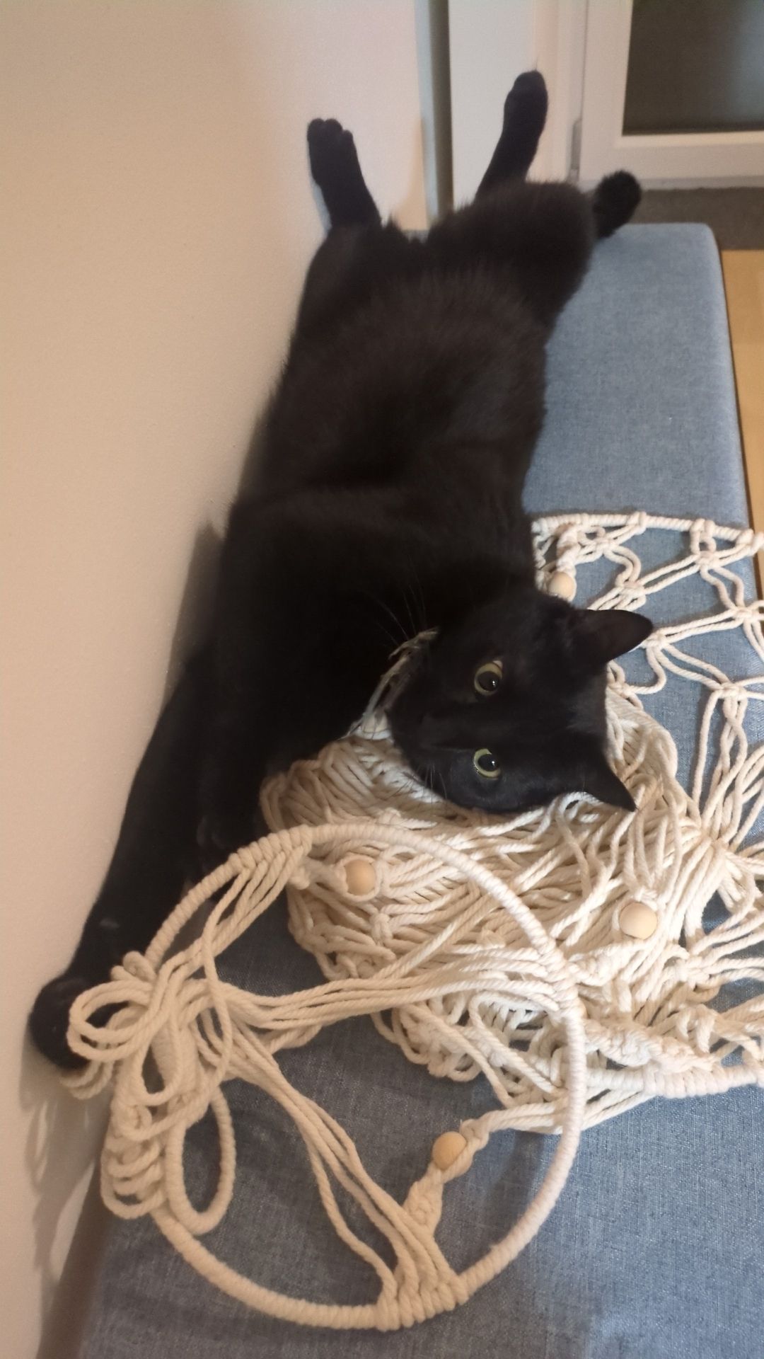 Nero - Am Wald, Eichstätt