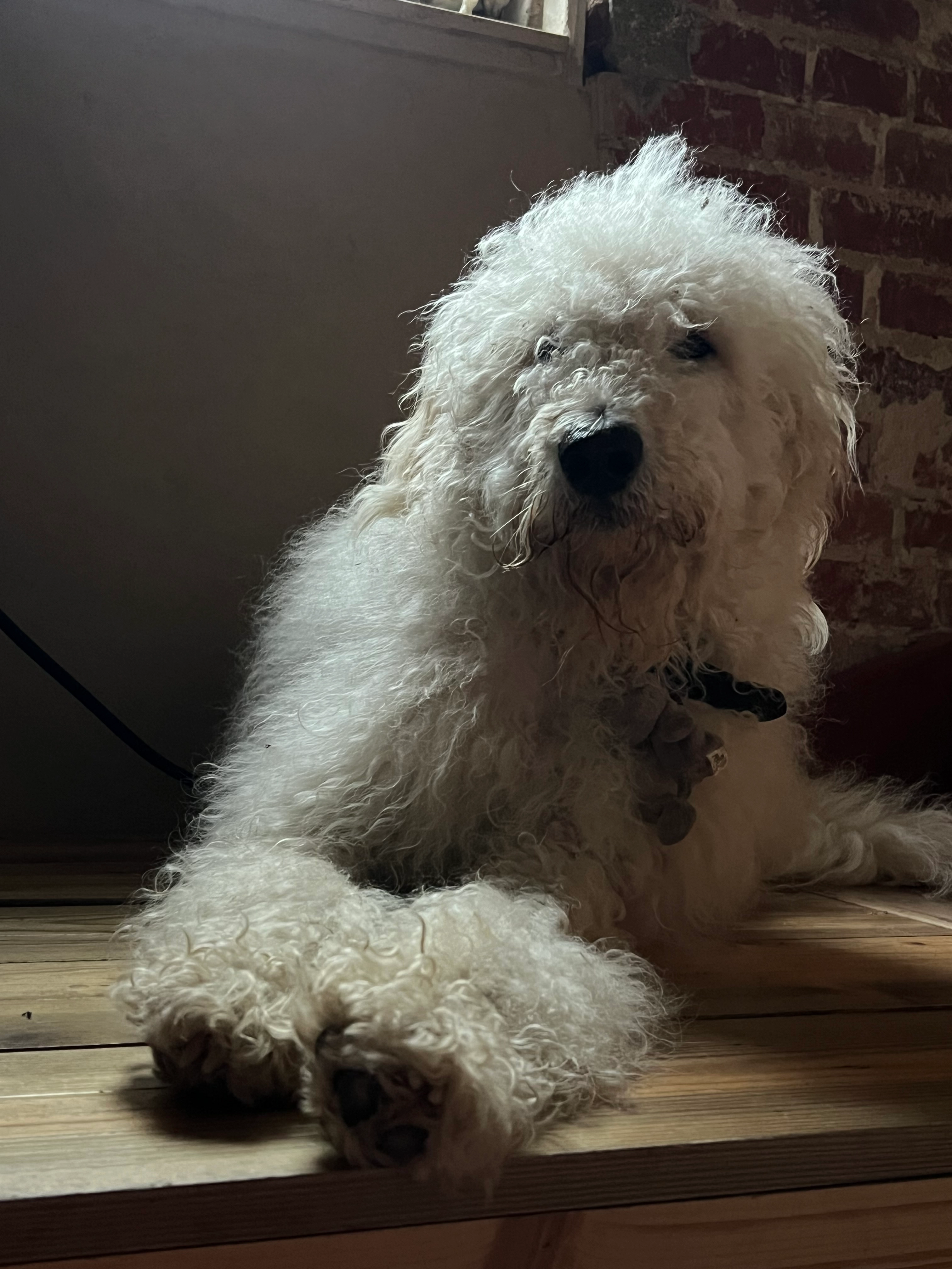 Silba - Eschenweg, Weissach im Tal