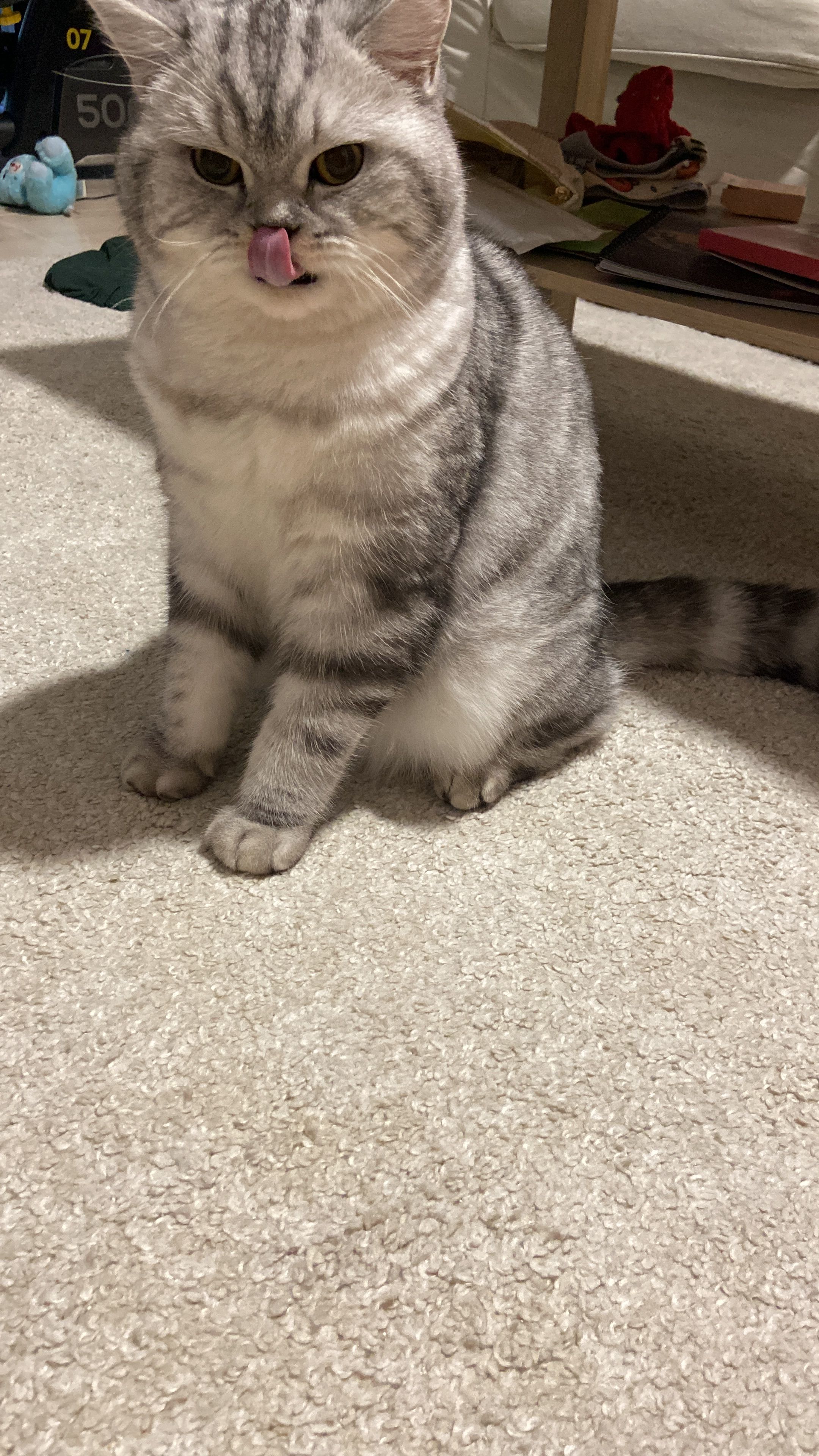 Mitu - Avenida de Burgos 16, Venturada