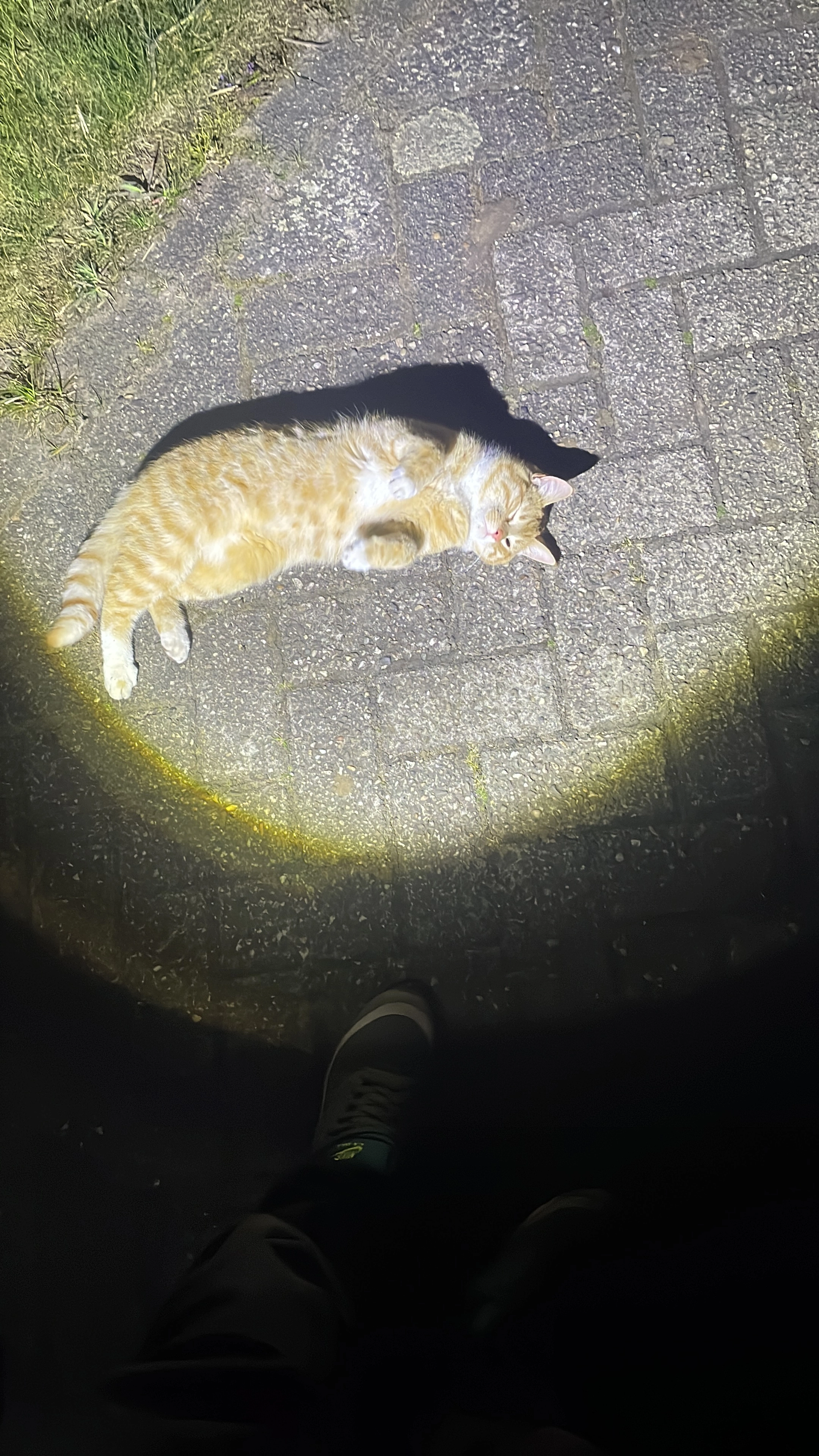 Sam - Schanebroeksweg, Luttenberg