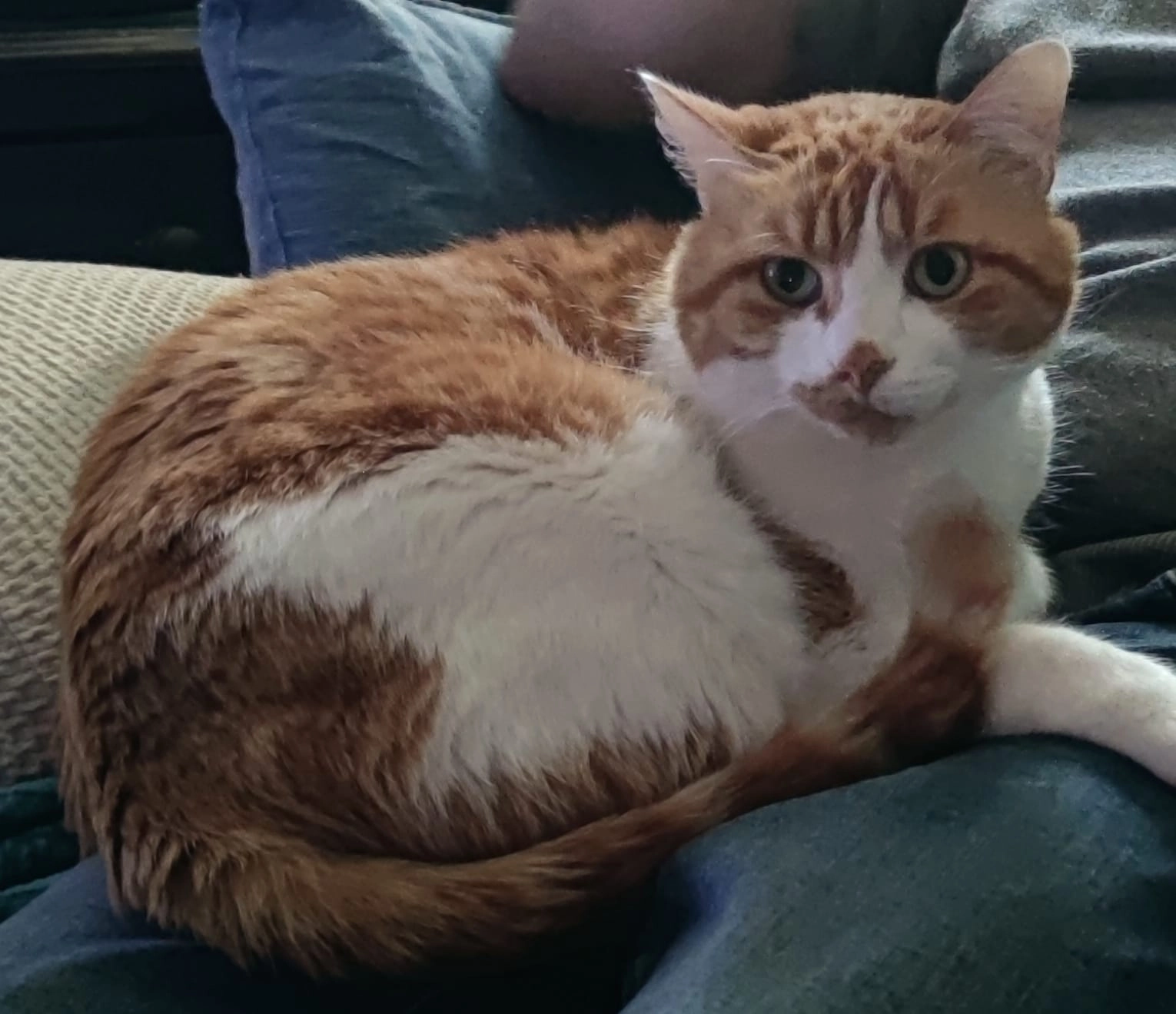 Automne - Le Champ Du Moulin, Sainte-Radegonde