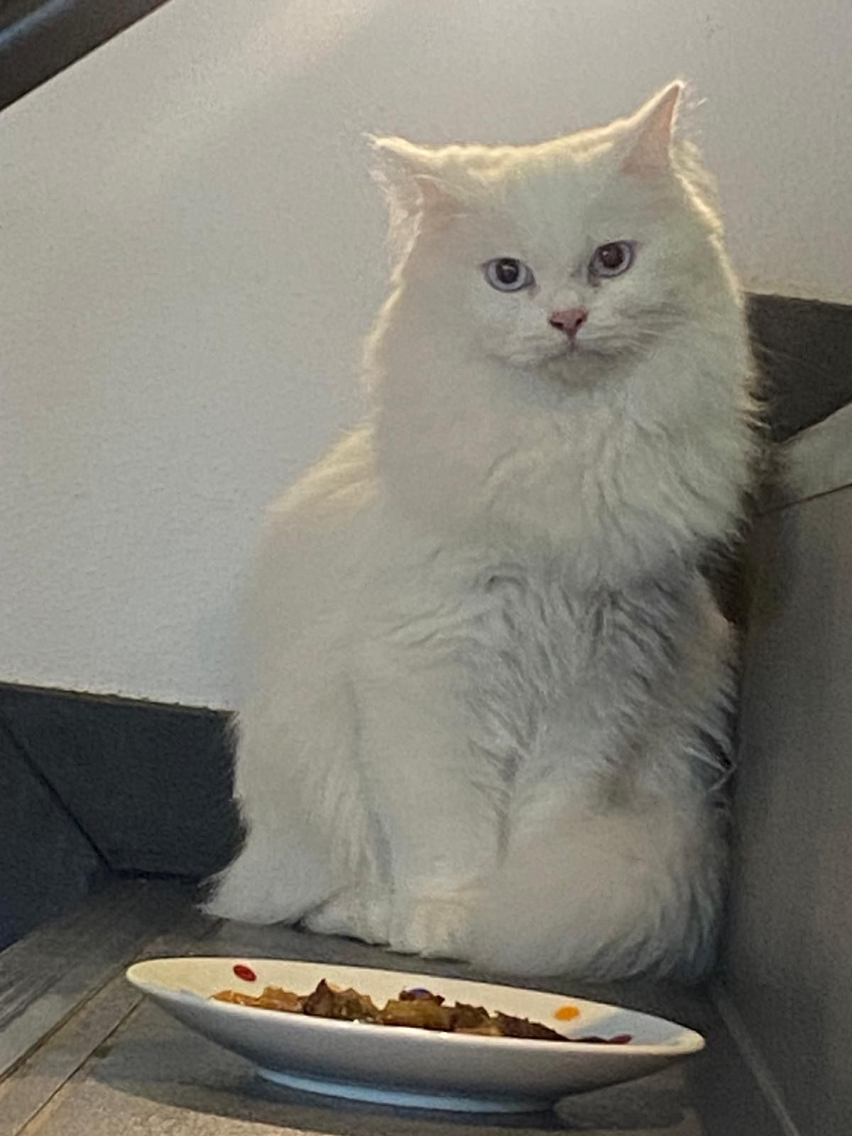 Calimero  - Am Priel, Ebersberg