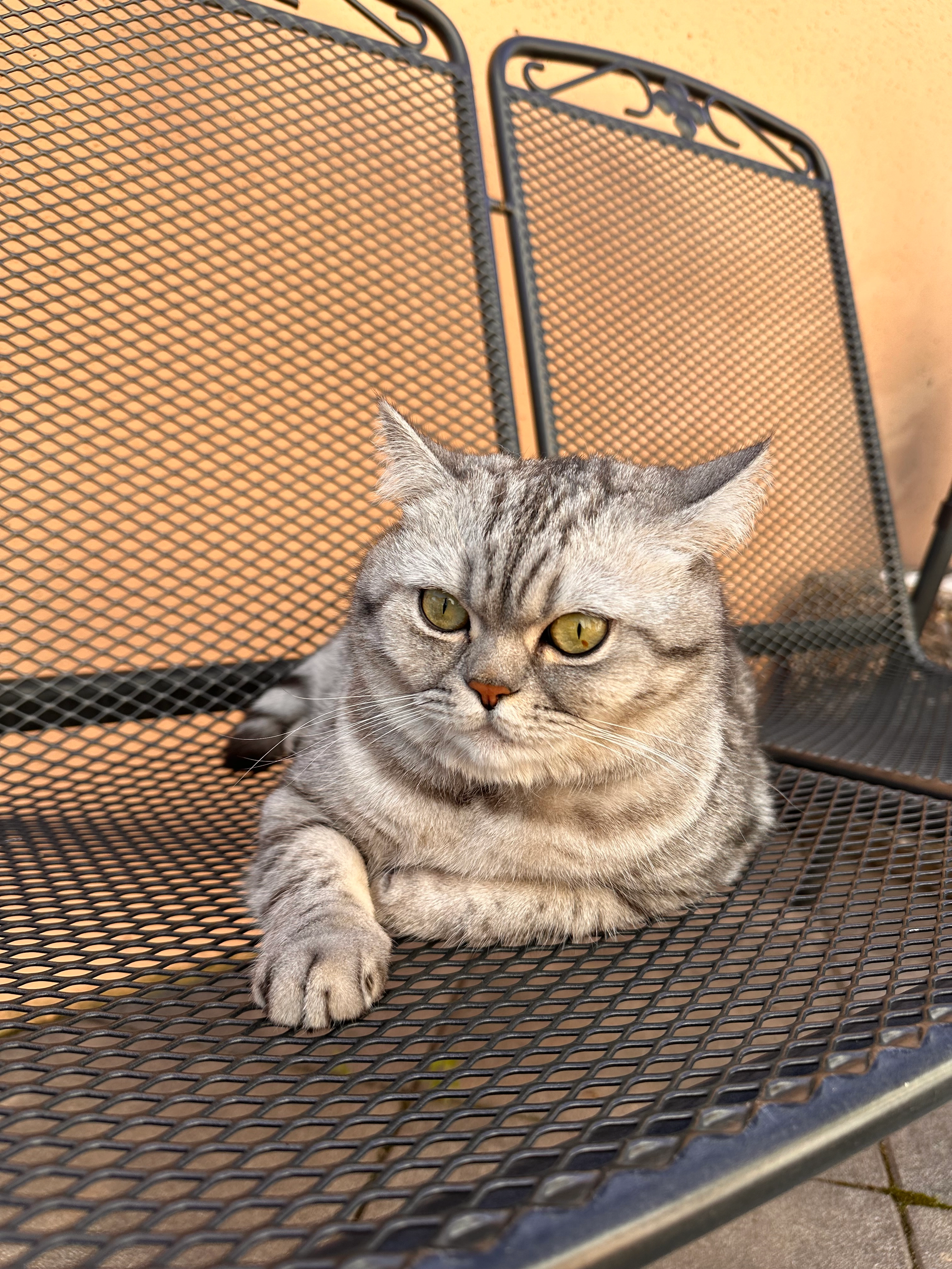 Leila  - Fortschau, Kemnath