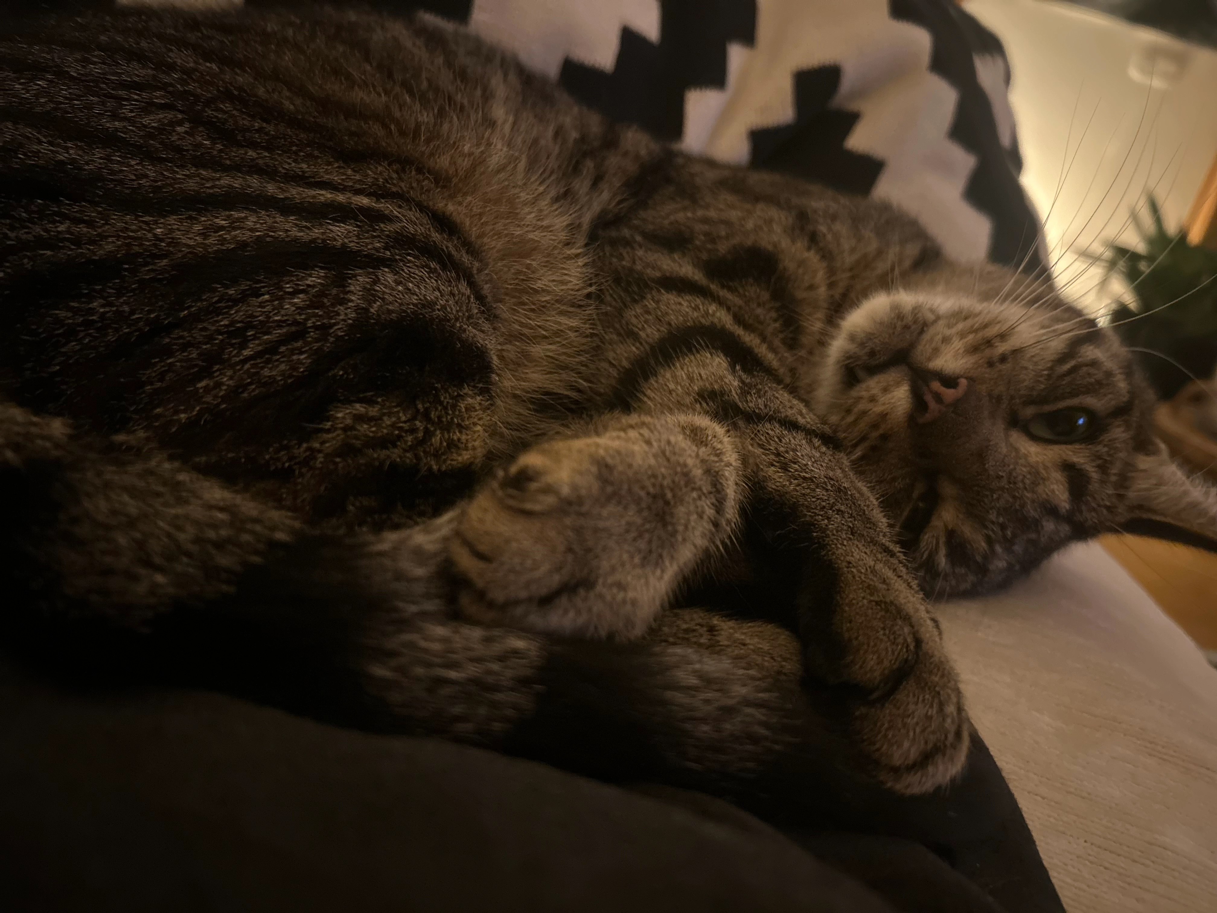 Herr Kowalski - Lange Reihe, Hamm