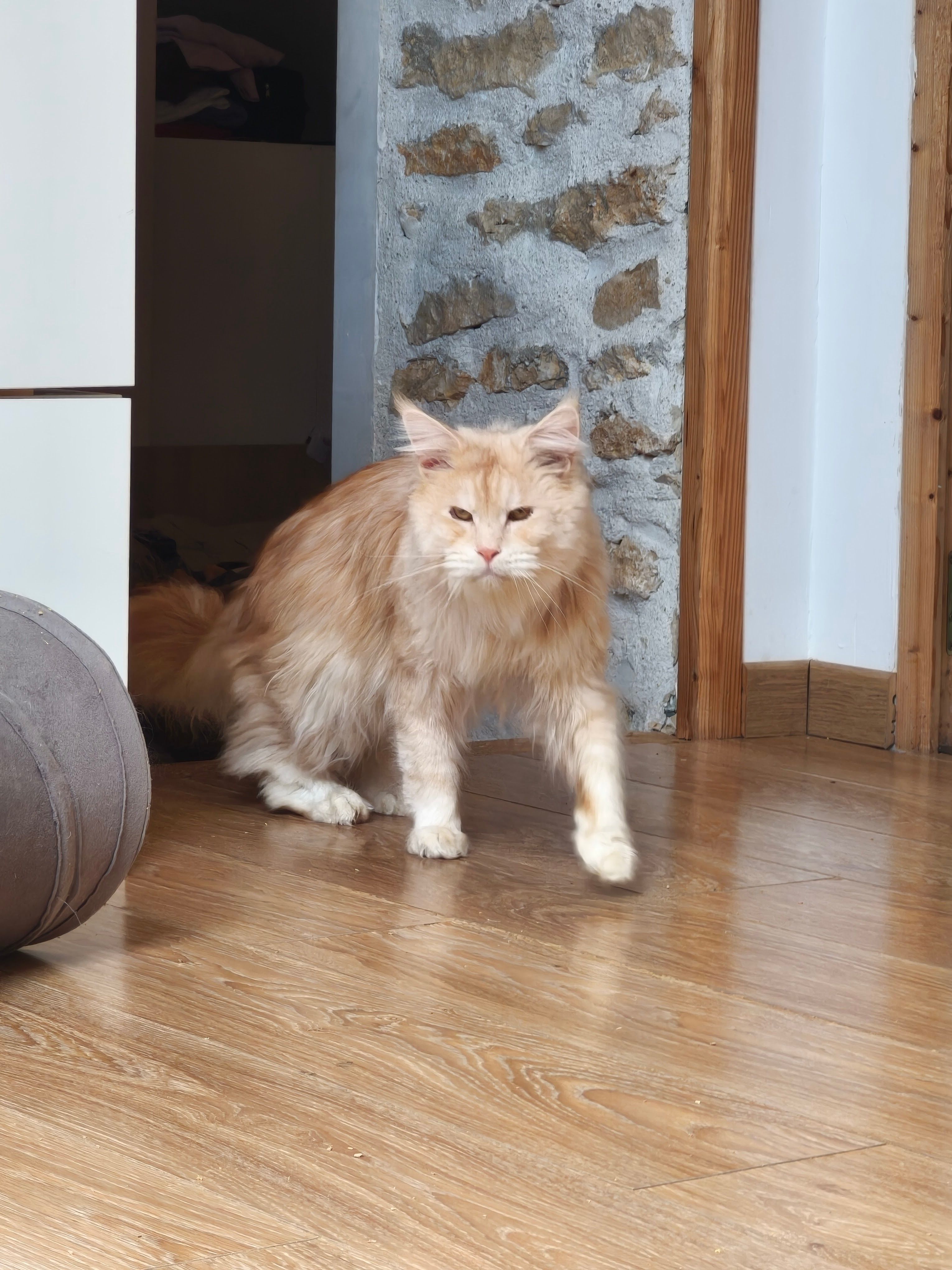 Ulky - 2 Rue des Vignes, Lizines