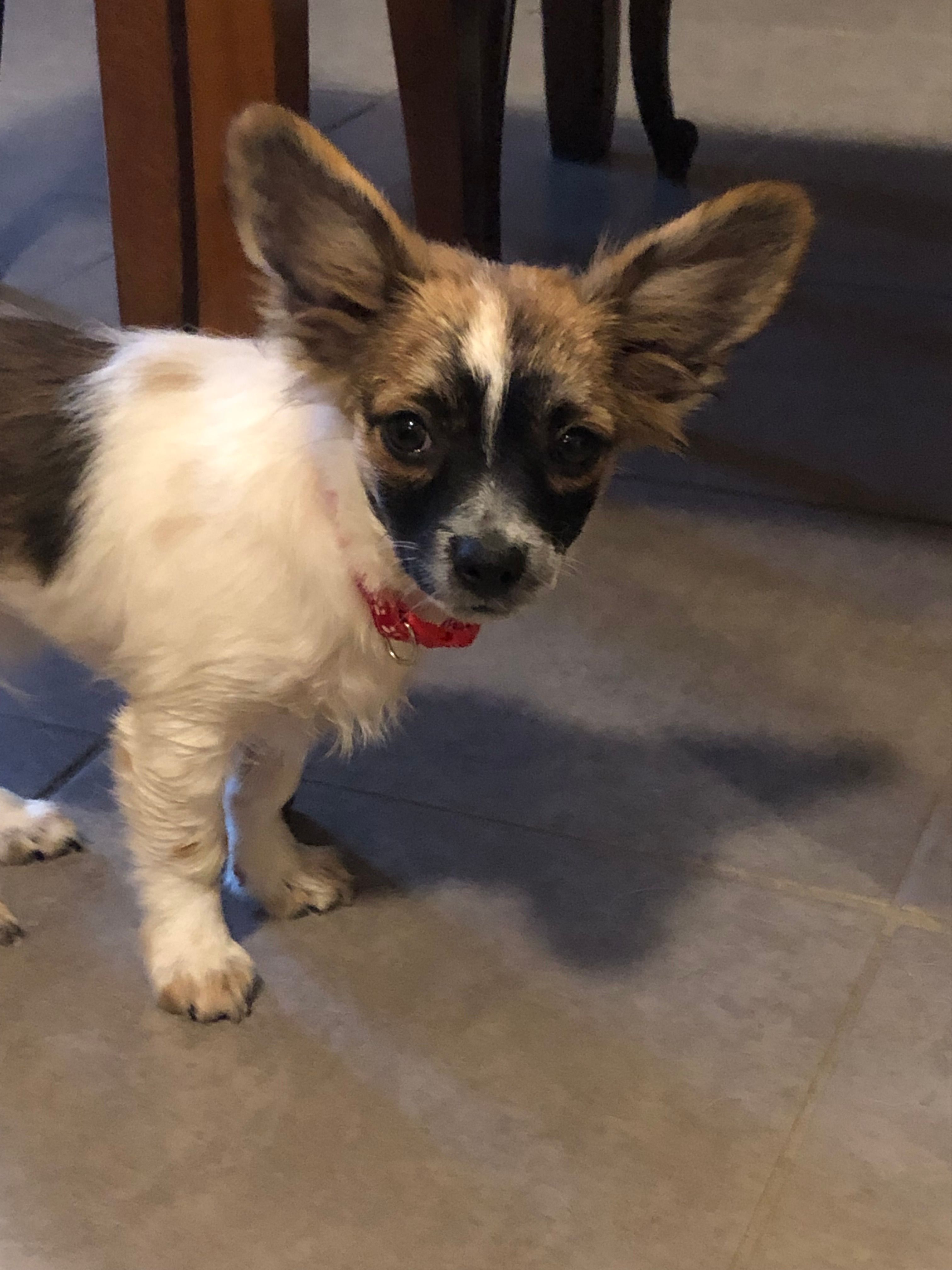 Vermont - 20 Rue des Chezeaux, Huriel