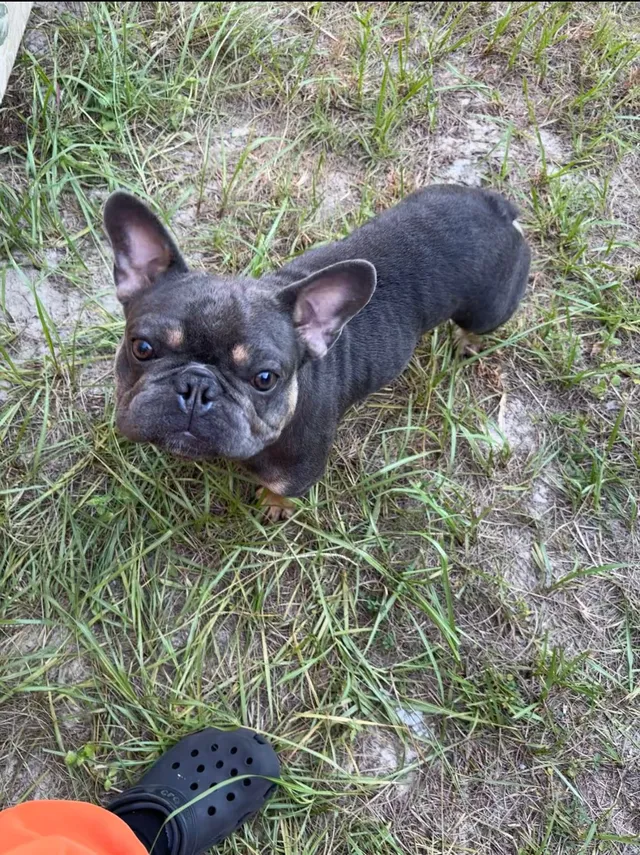 Milo - 15010 SW 39th Cir, Ocala