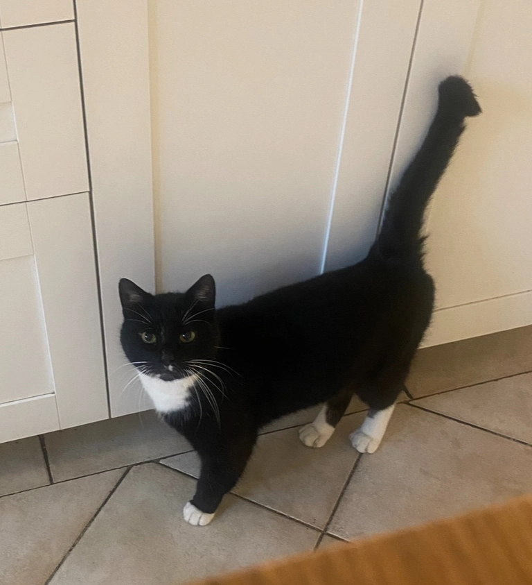 mincis - Syta, Warsaw