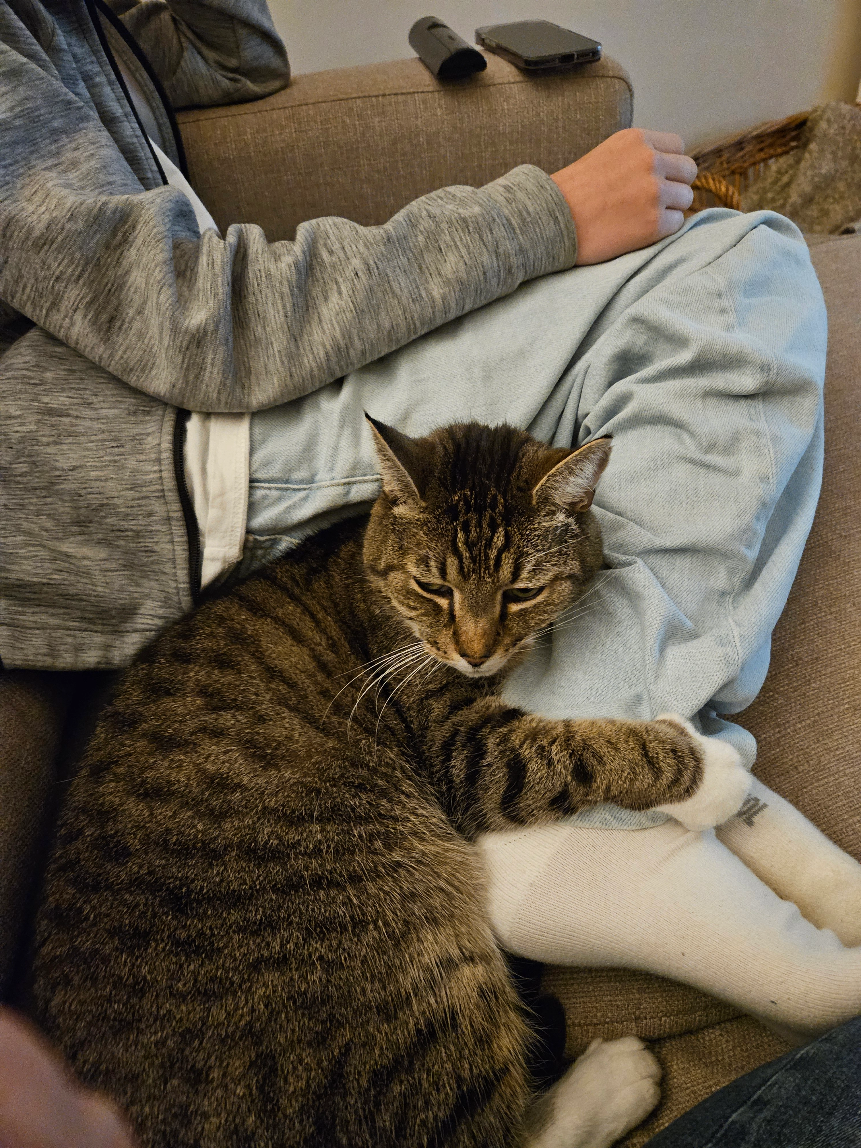 Chips - Hamstraat, Ukkel