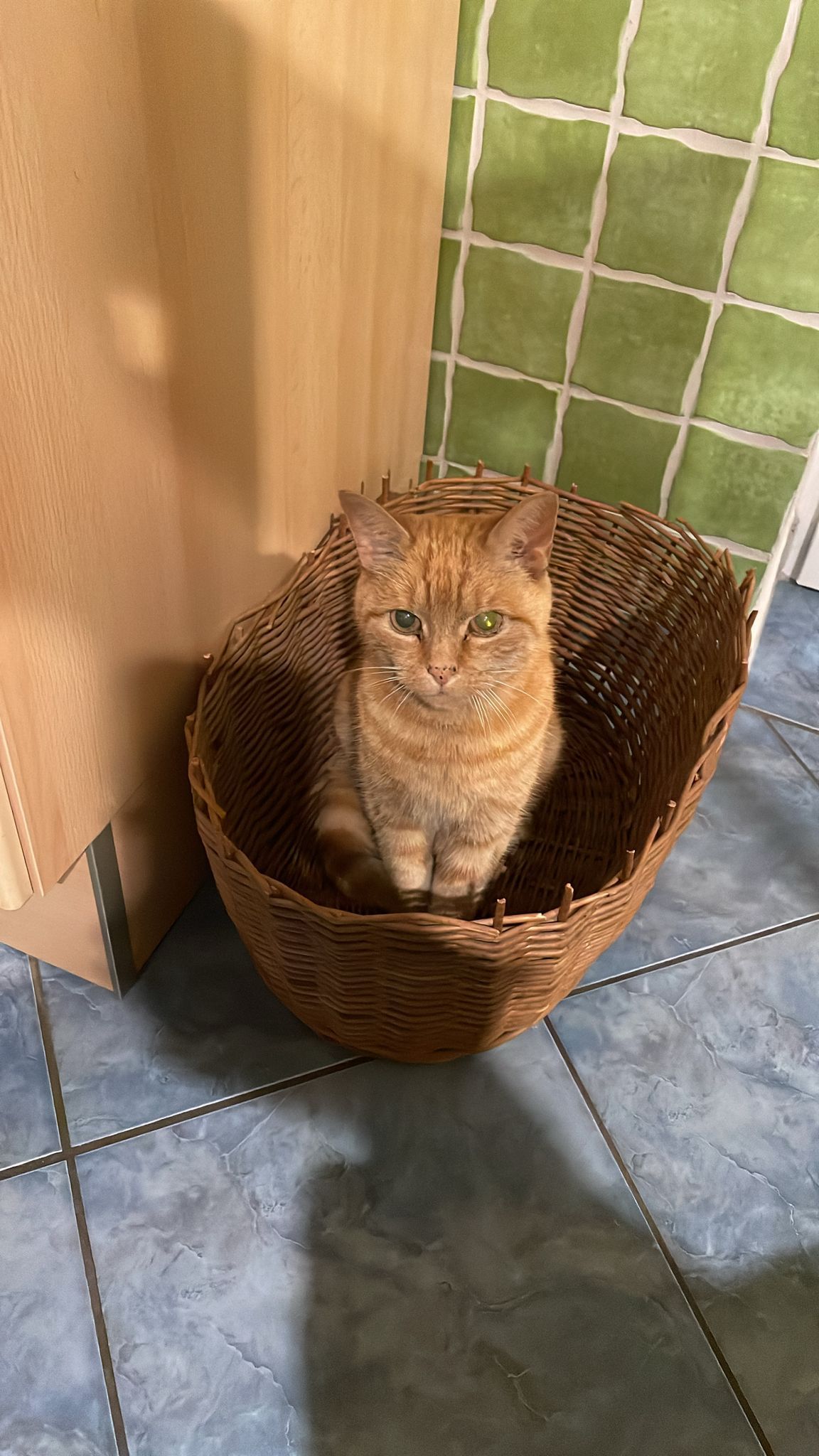 Tiger - Guglweiterstraße, Emmerting