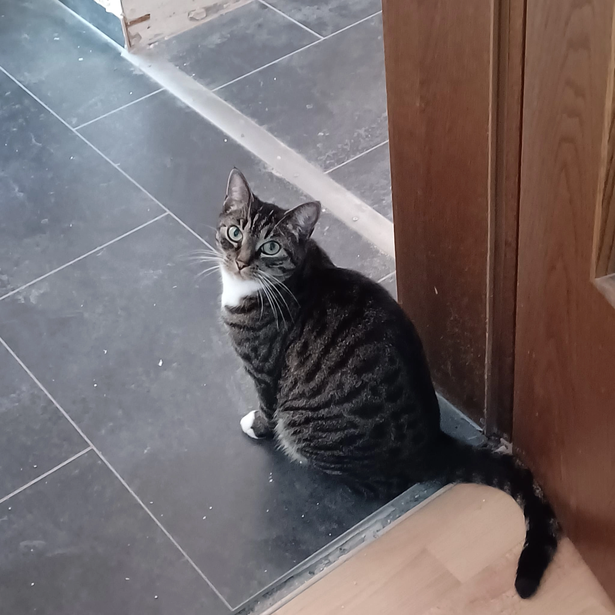 Jacky  - Fürstenhofweg, Wächtersbach