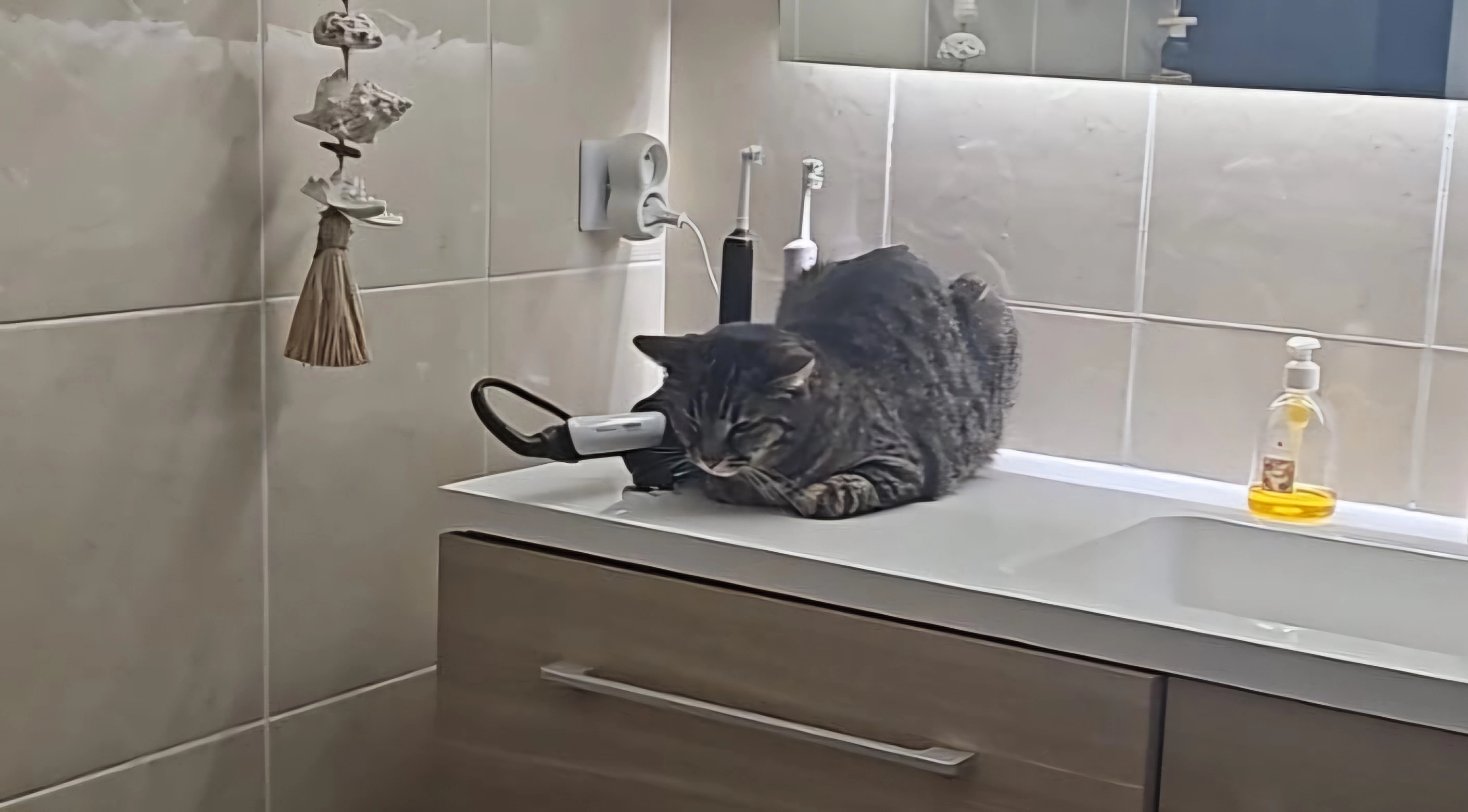 Tommy - 57 Impasse Saint-Hélène, Valserhône