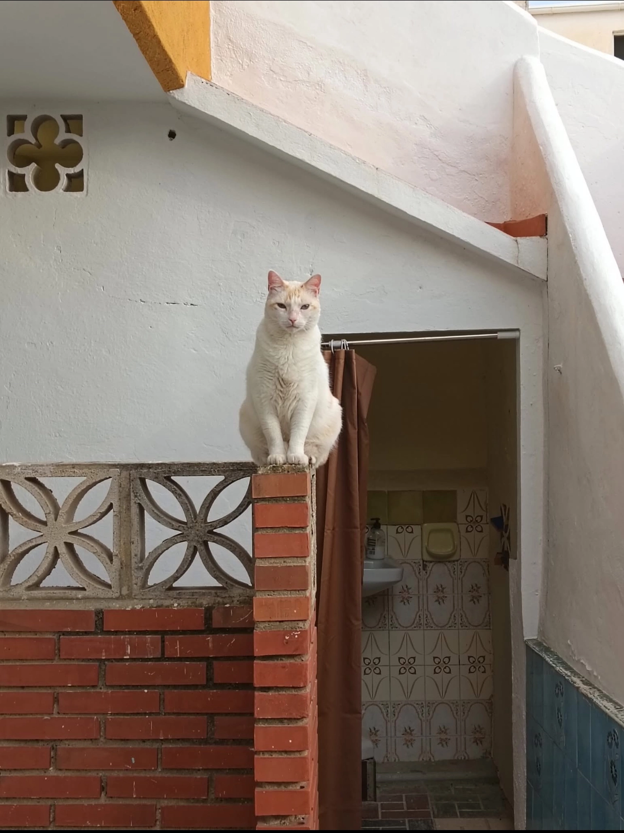 Nerón  - Calle del Escritor Jacobo Orellana Espejo, Málaga