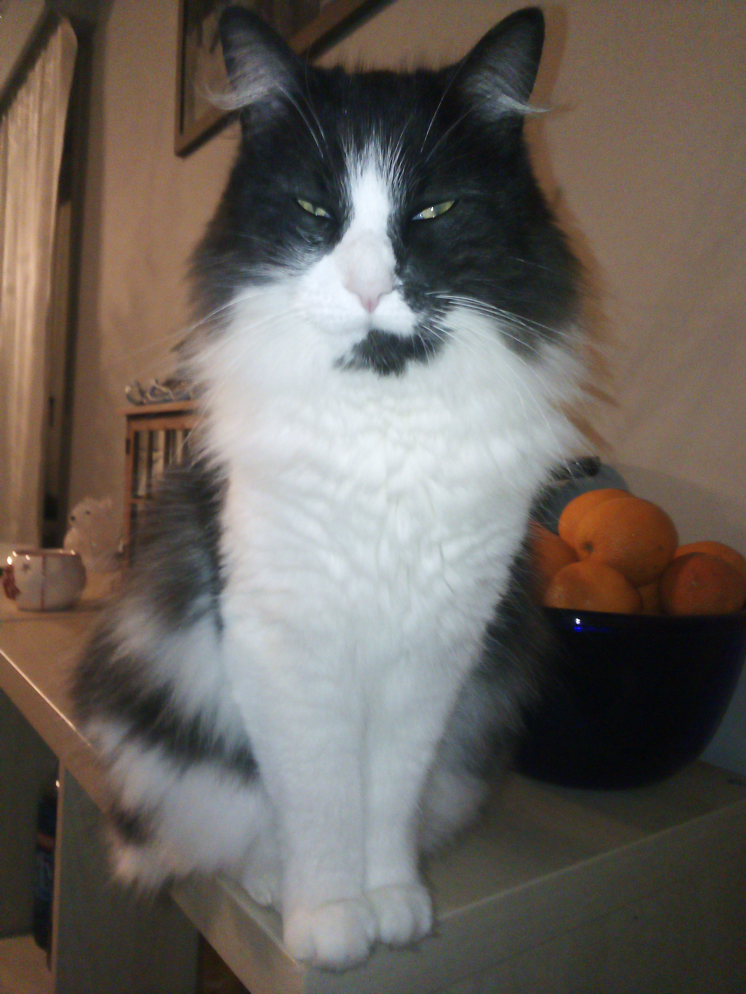 Azrael  - Rue de la Paix 11, Aywaille