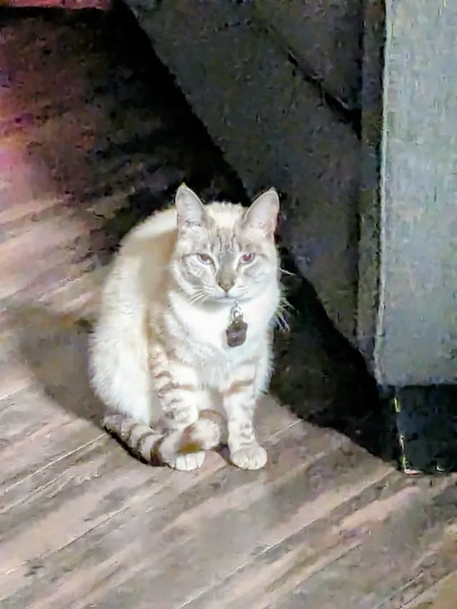 Kiki - K Avenue, Plano