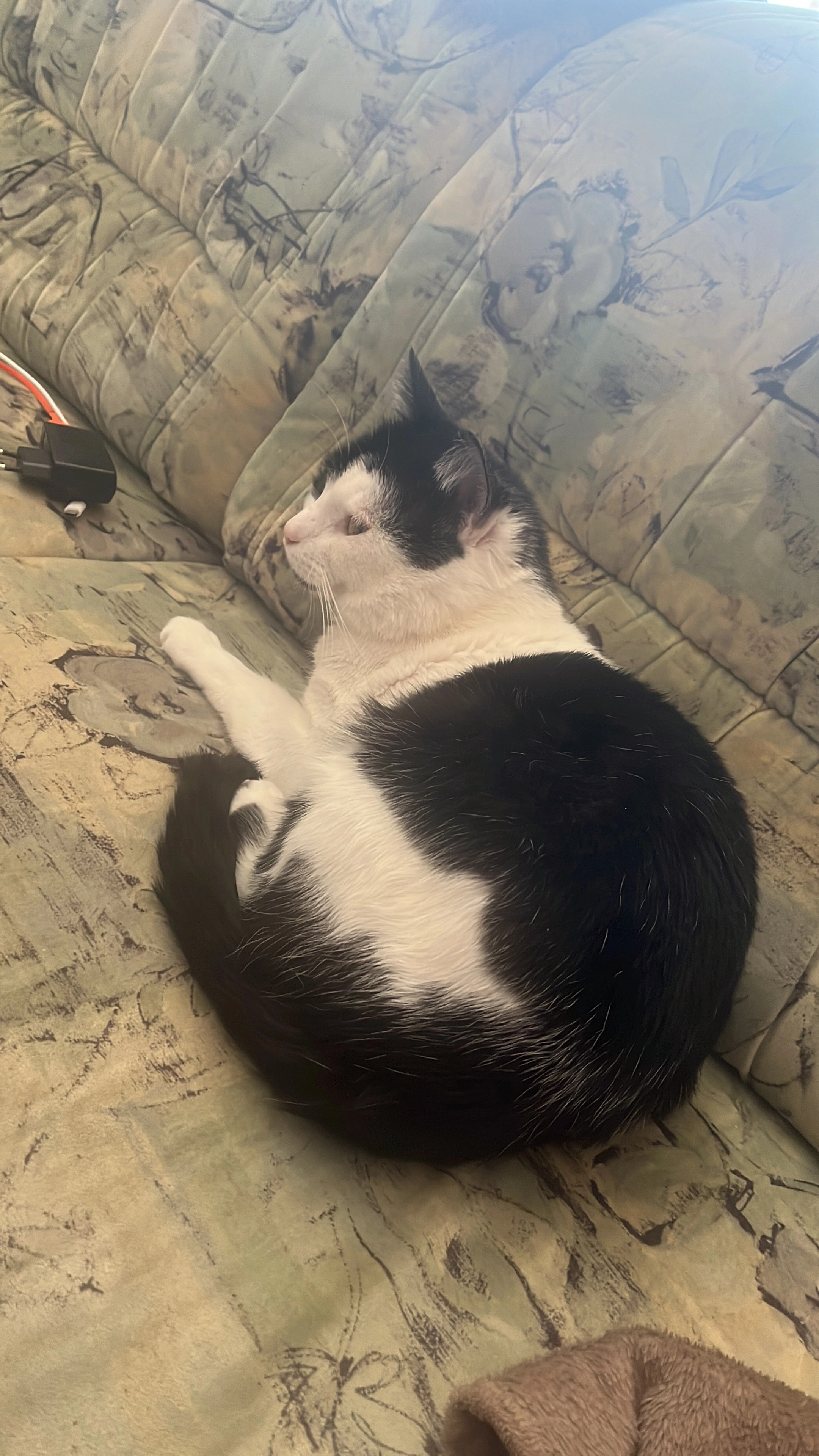 Glubschi - Platz Des Friedens, Fockendorf