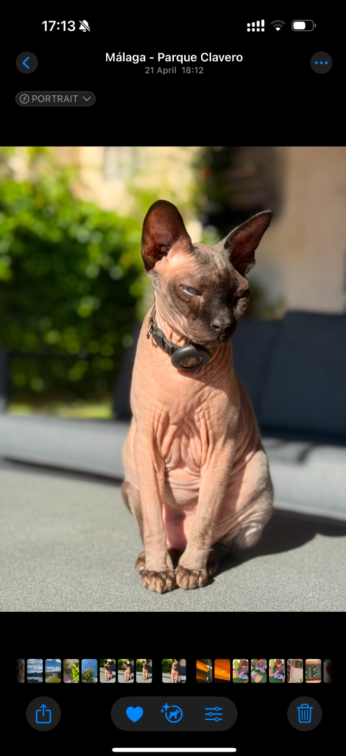 Wkrop - Calle Pintor Joaquín Martínez de la Vega 9, Málaga