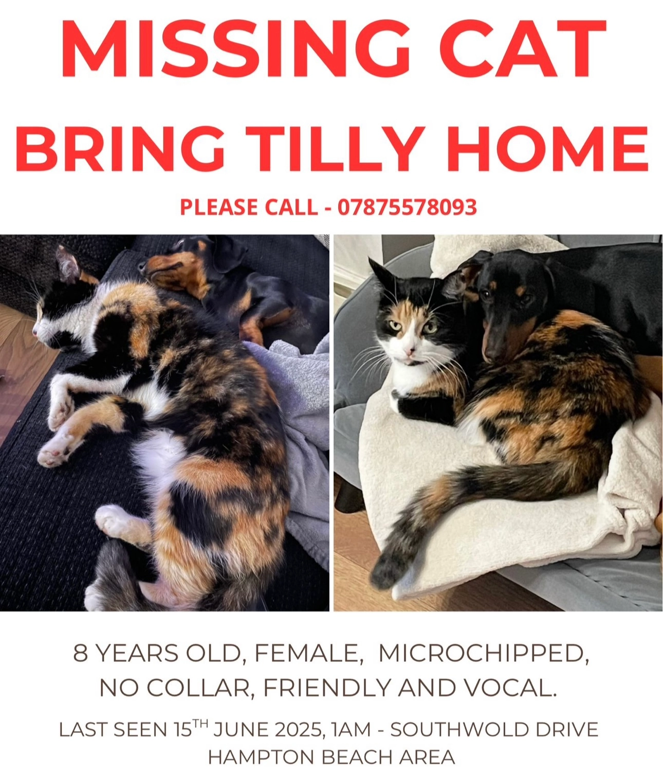 Tilly  - PE7 8, Peterborough