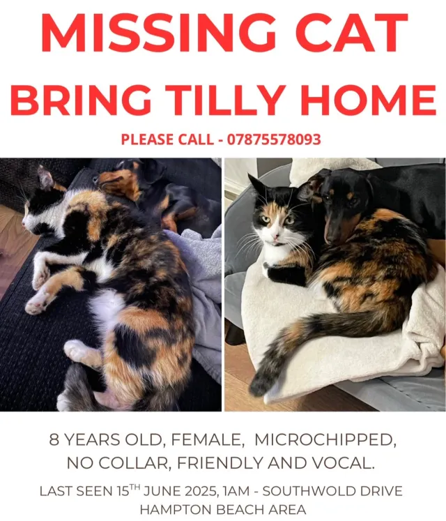 Tilly - PE7 8, Peterborough