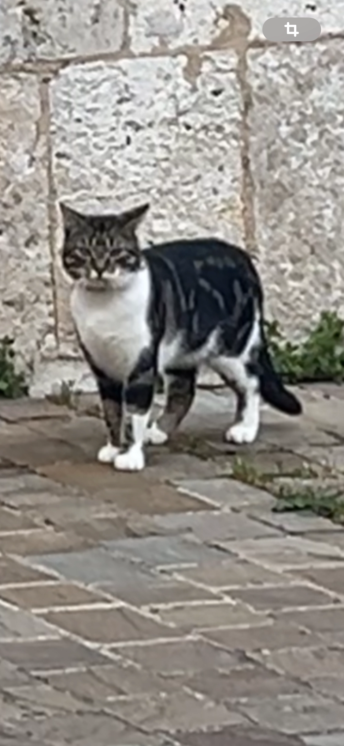 Chanel - 24 Rue des Turcies, Orléans