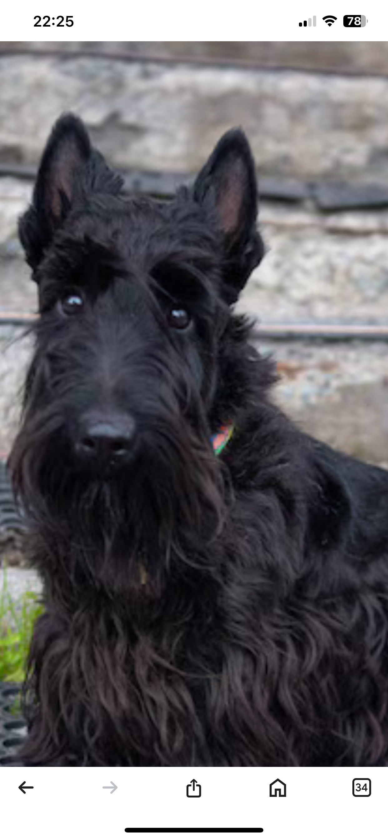 Louise - 210B Route du Biolley, Allinges