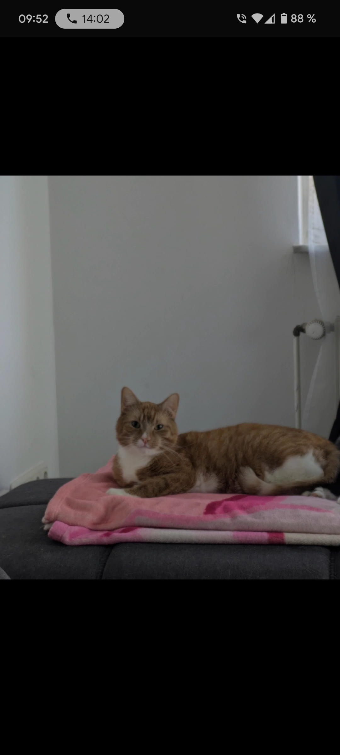 Ramy - Eutiner Straße, Ratekau