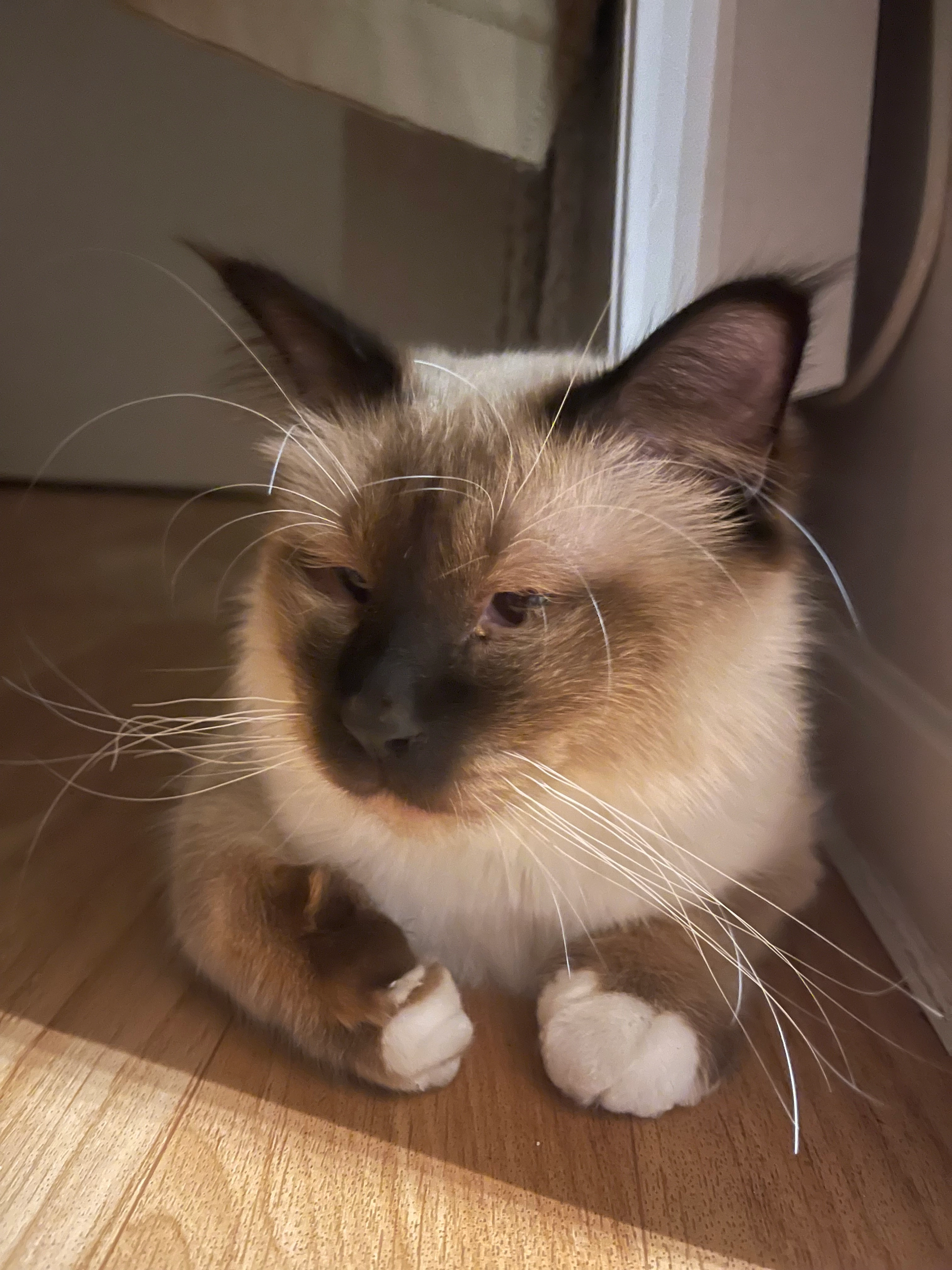 Zelda - Allée Georges Feydeau, Beauvais