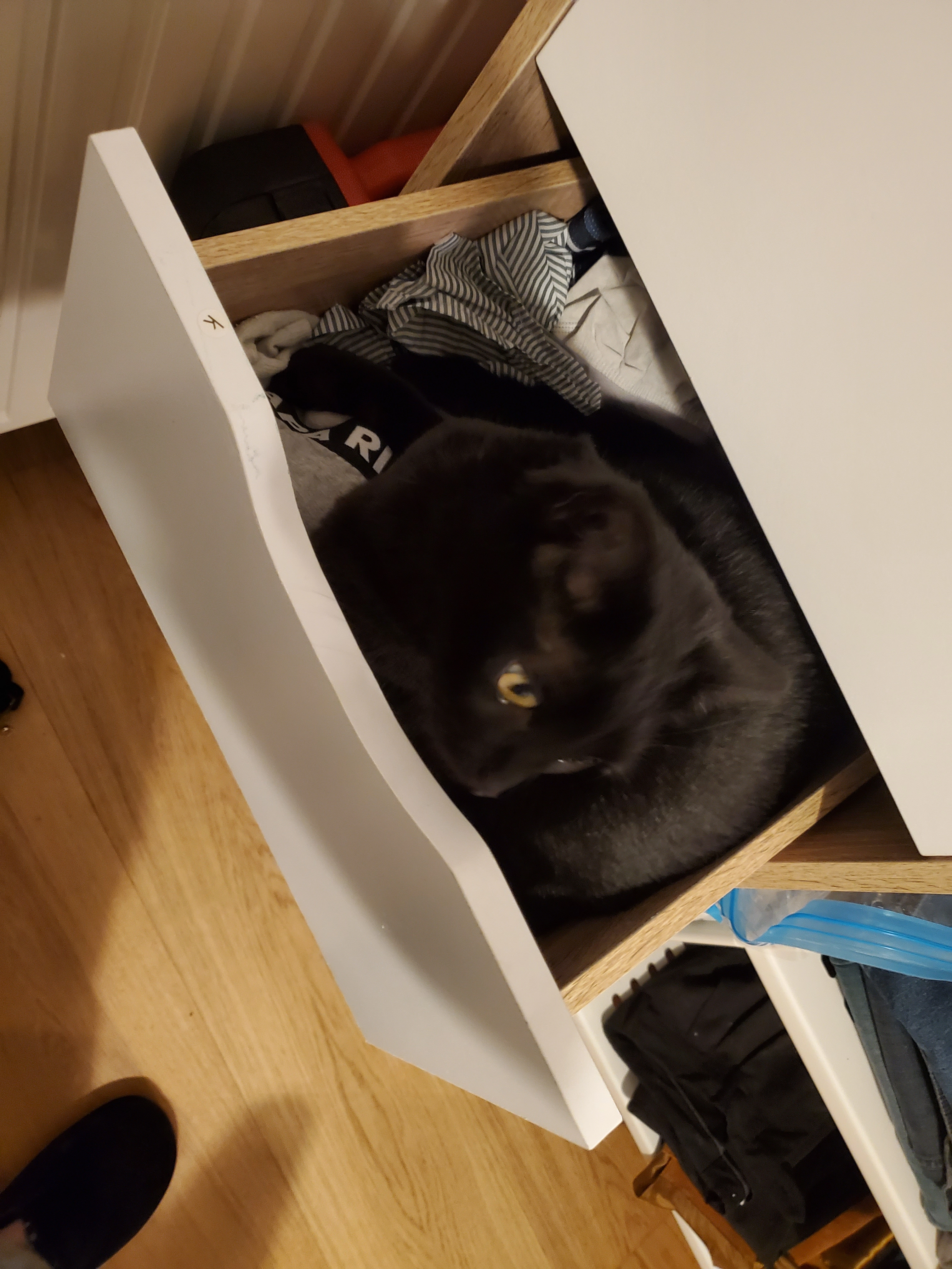 Yumi - Avenue Thermale, Chamalières