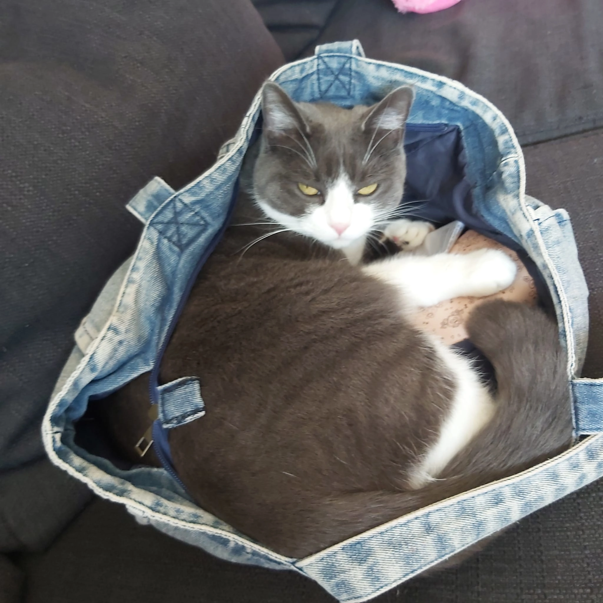 Tiffie - Holzhofweg, Wasserburg am Inn