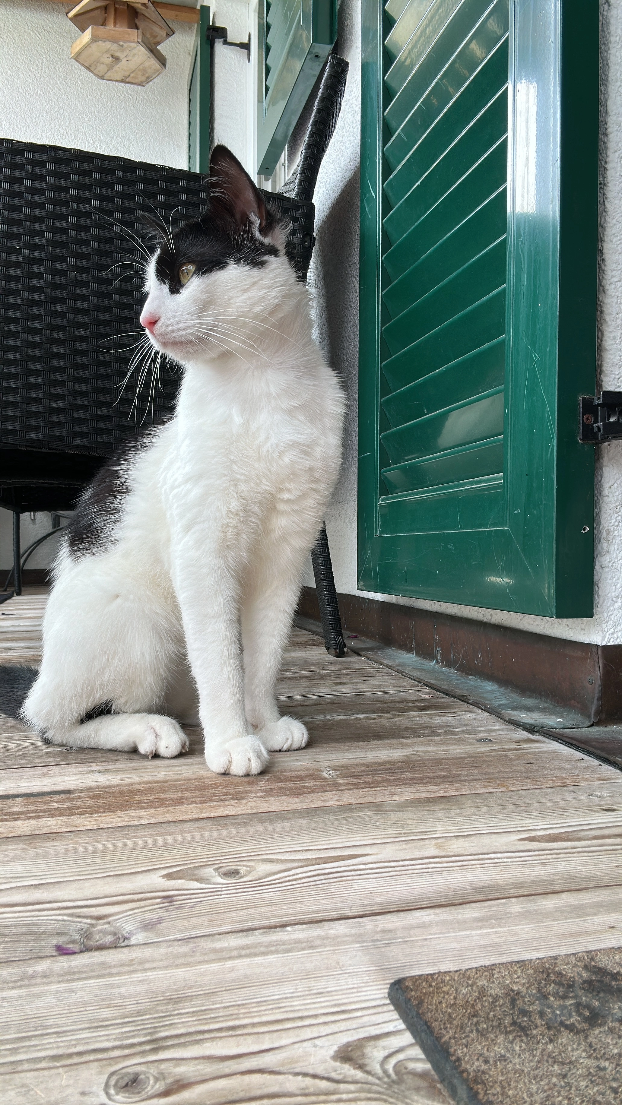 Zeus - Gaißacher Straße, Bad Tölz