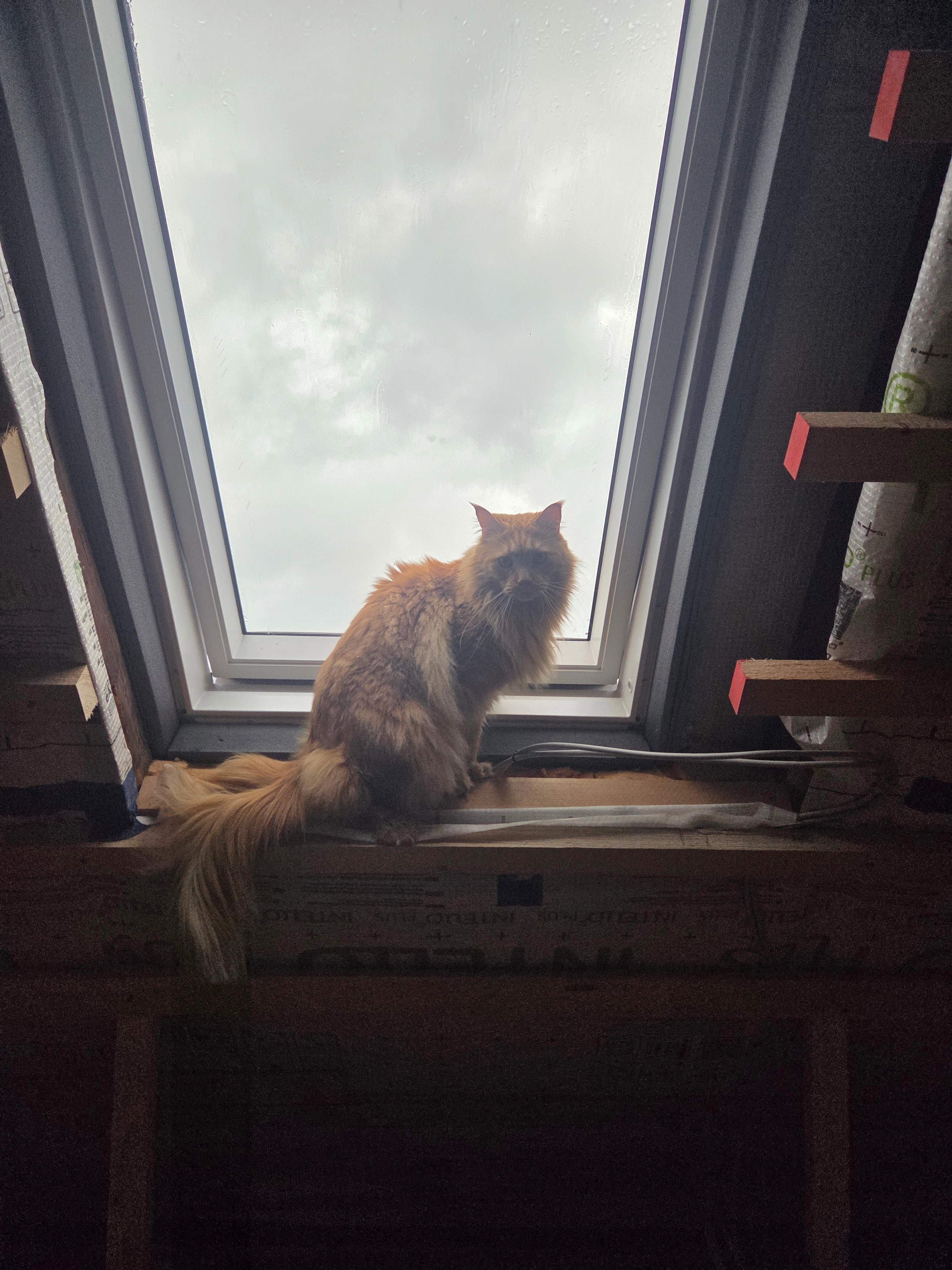 Garfield - Hauptstraße 87, Ostritz