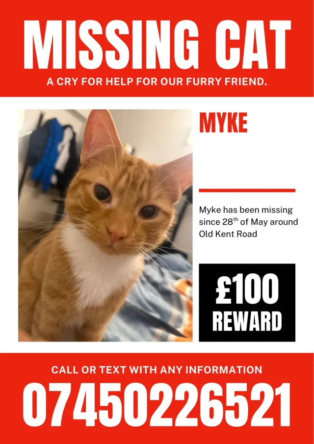 Mike  - SE17 1, London