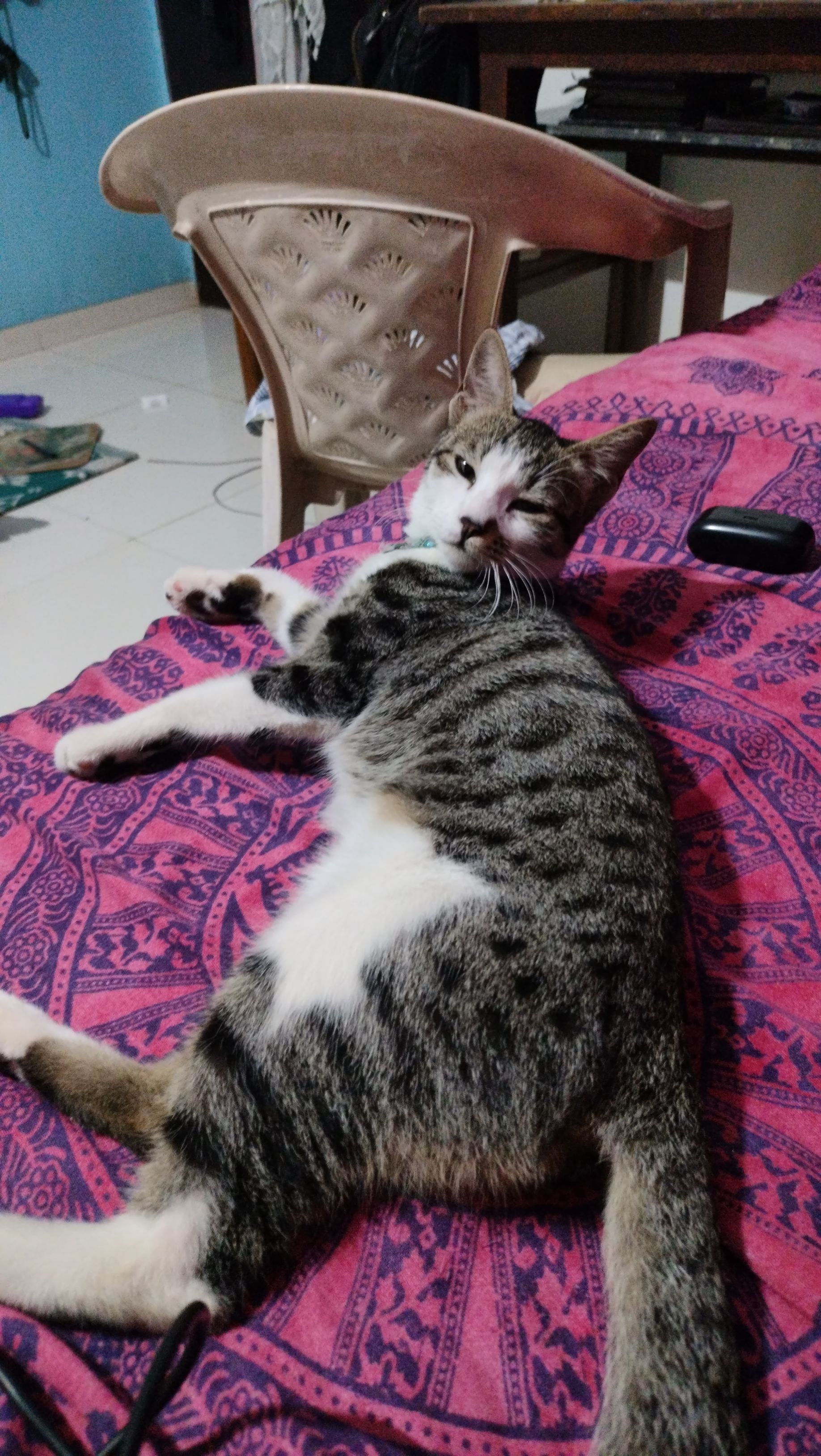 Mau - Choudhary Park 9 , Dighi 