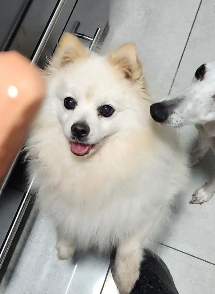 Guchi - רחוב בכורי ציון, תל אביב יפו