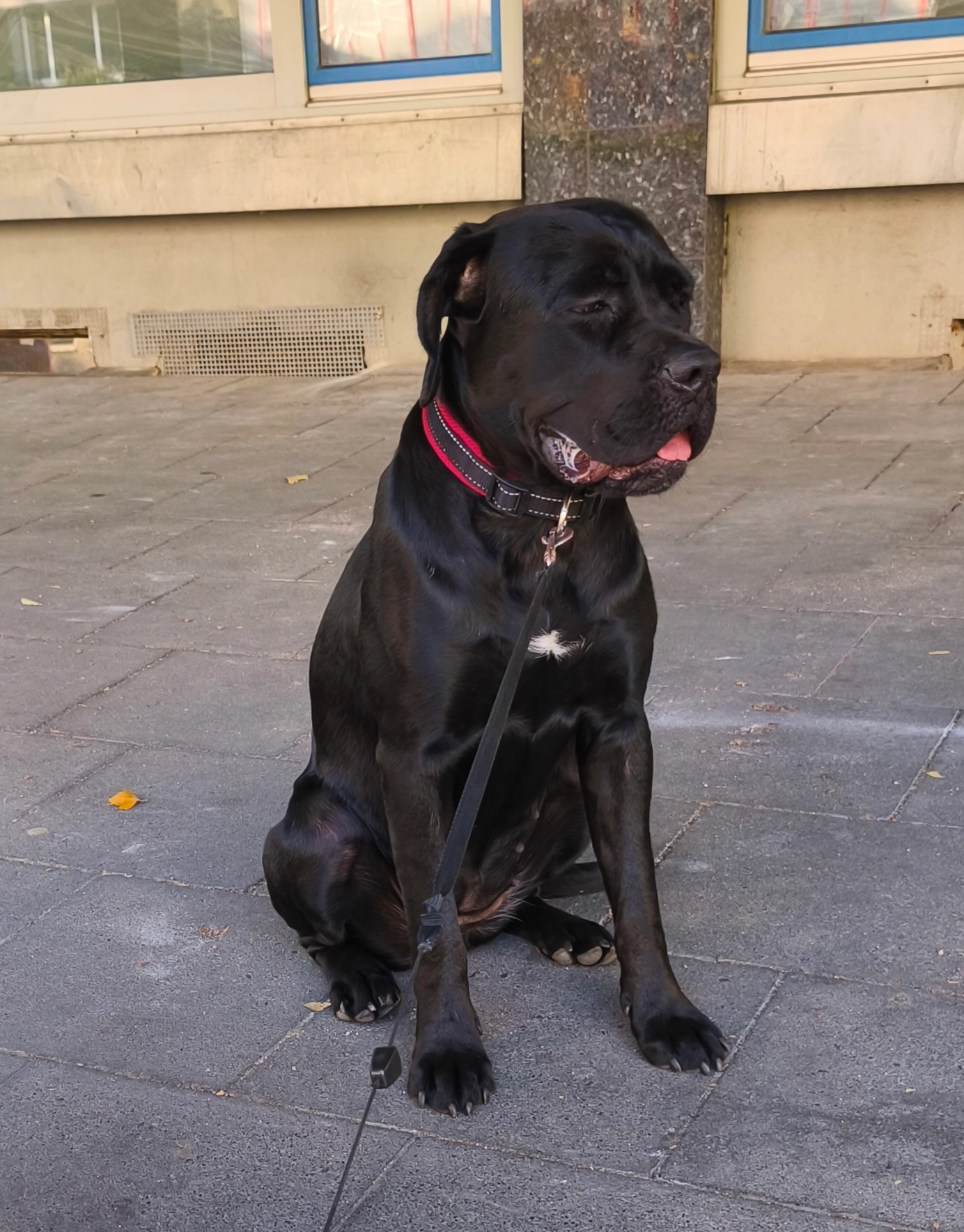 Babsy - Kalker Hauptstraße, Köln