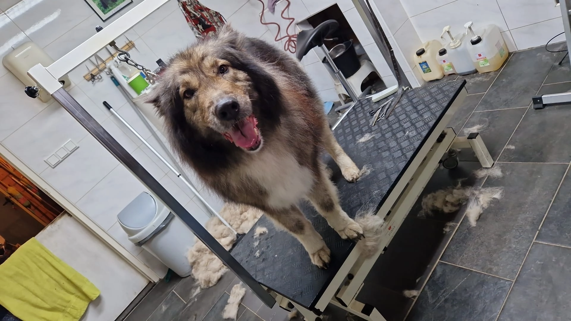 Lupa - Schaapsbrug, Heibloem