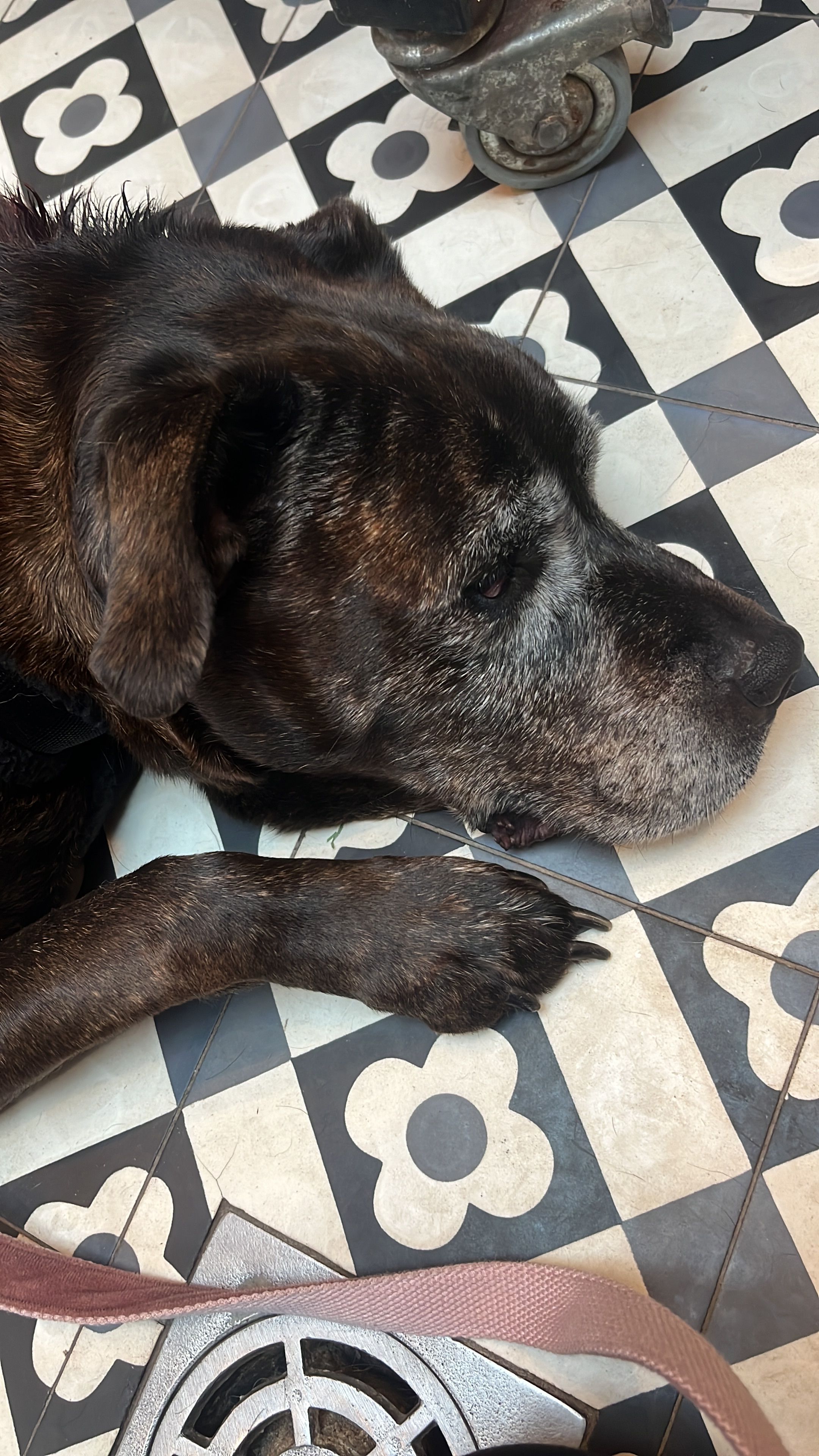 Kayla - Valckenisseweg, Rilland