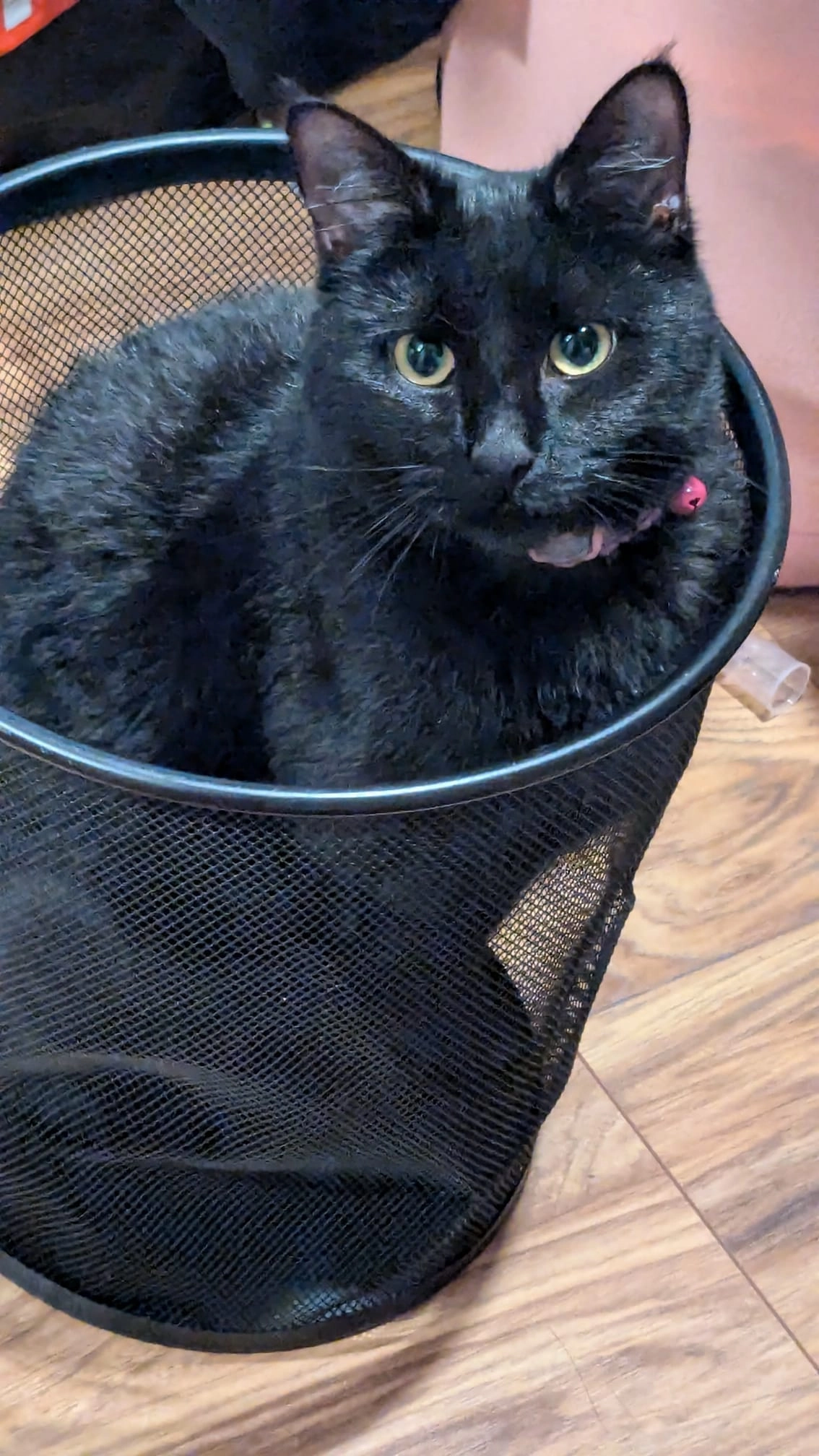 Coco - IP32 6qb, Bury Saint Edmunds