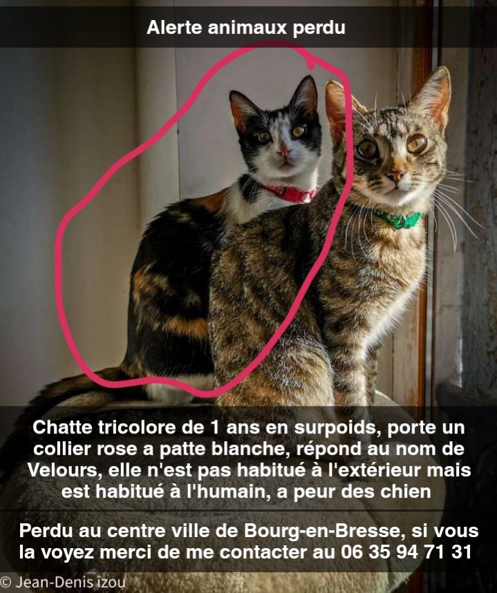 Velours  - 2 Rue du Général Debeney, Bourg-en-Bresse