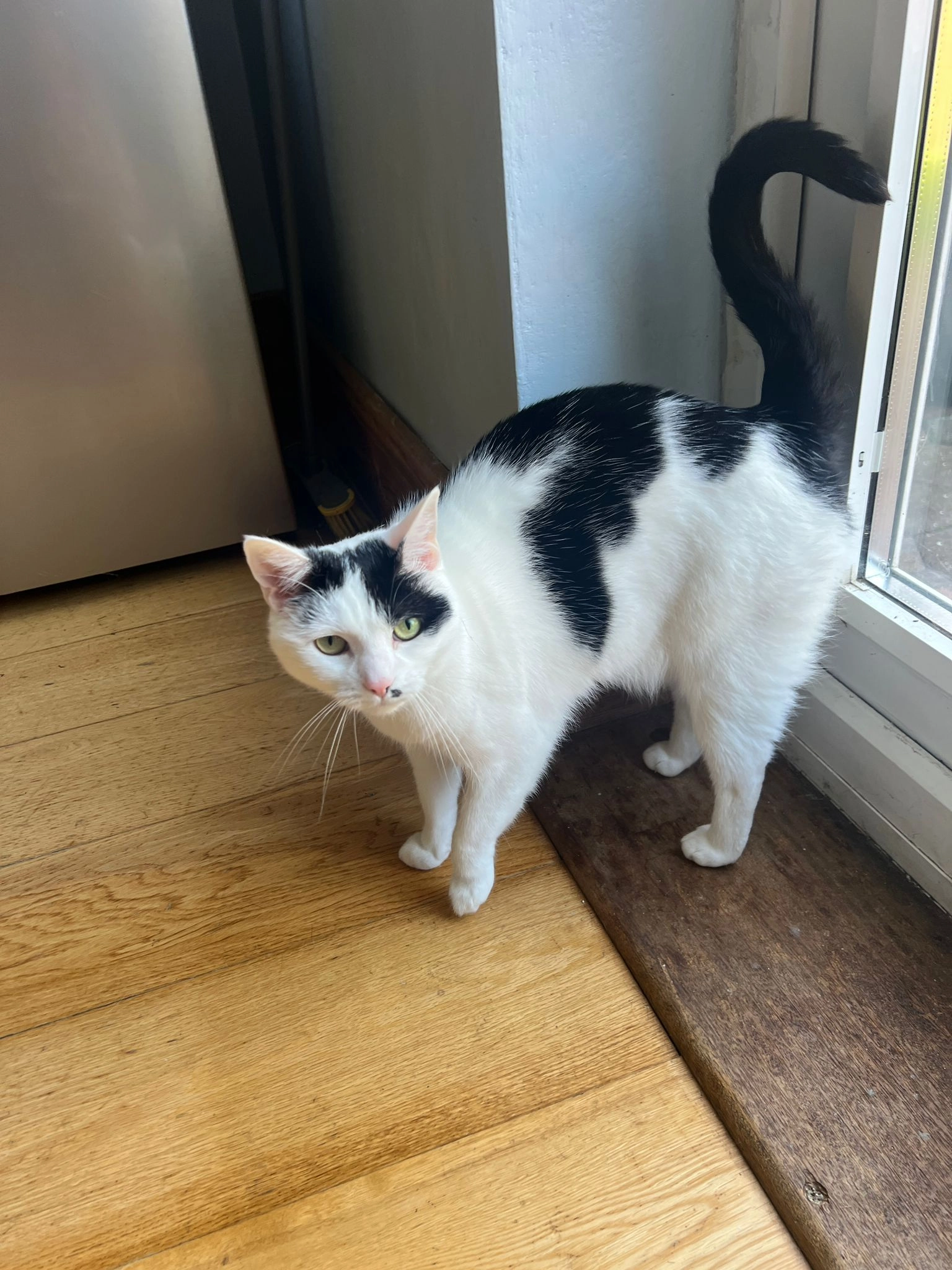 Lucy - 9 Ridgewood Crescent, Newcastle Upon Tyne