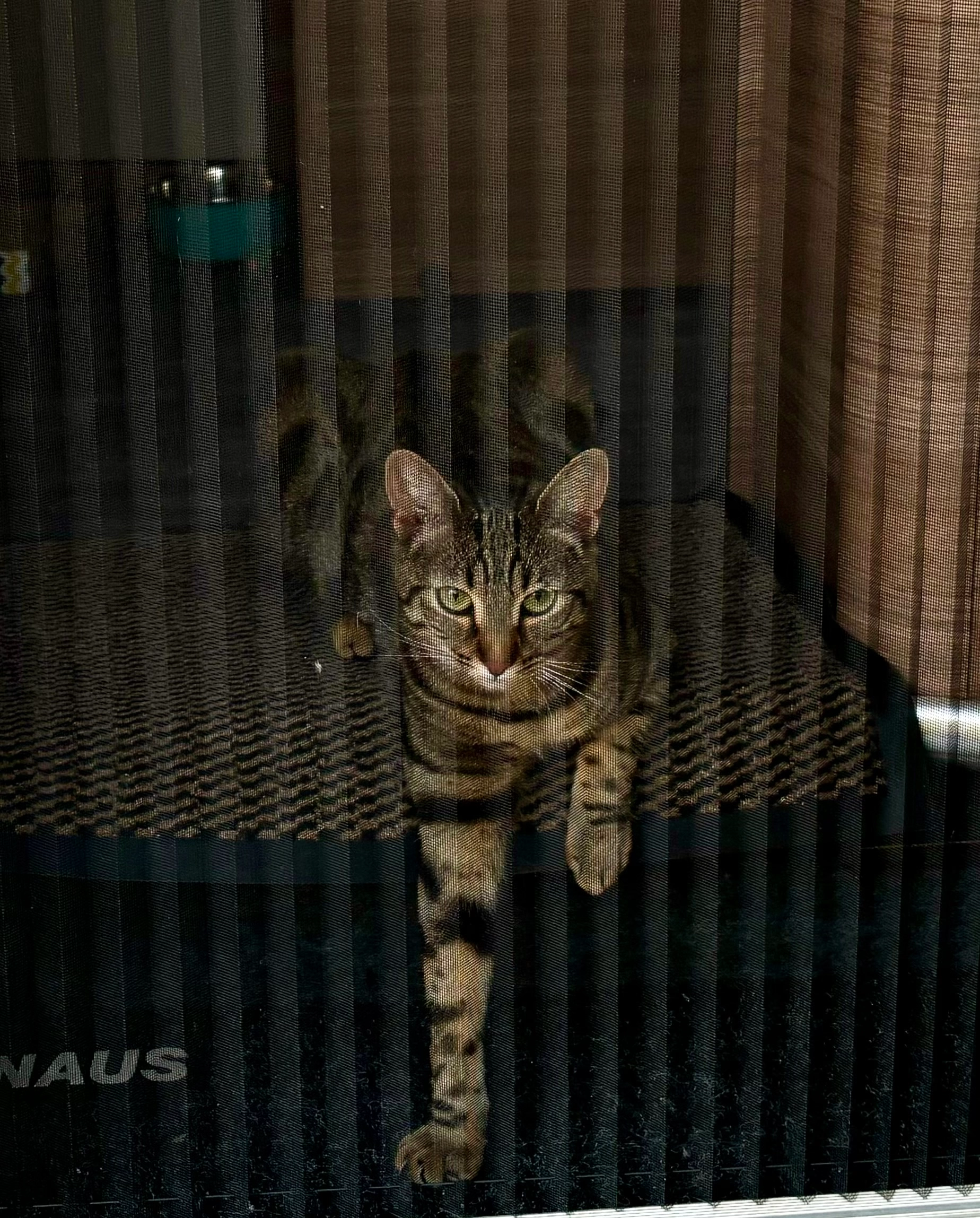 Saoû - Causse du Larzac , Millau