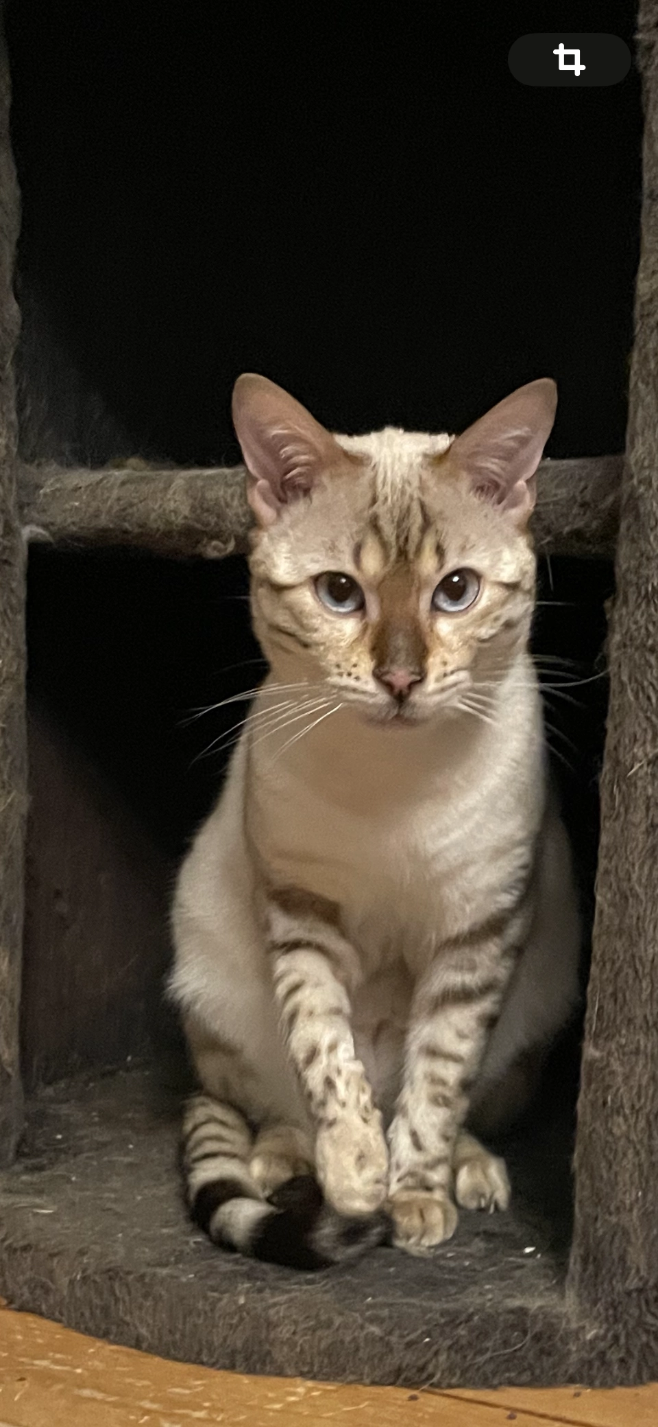 Coco - Fraunhoferstraße, Valley