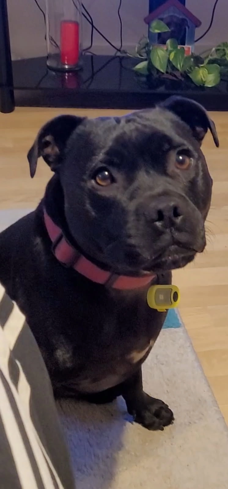 PITA - Rue De La Commune De Paris, Tremblay-en-France