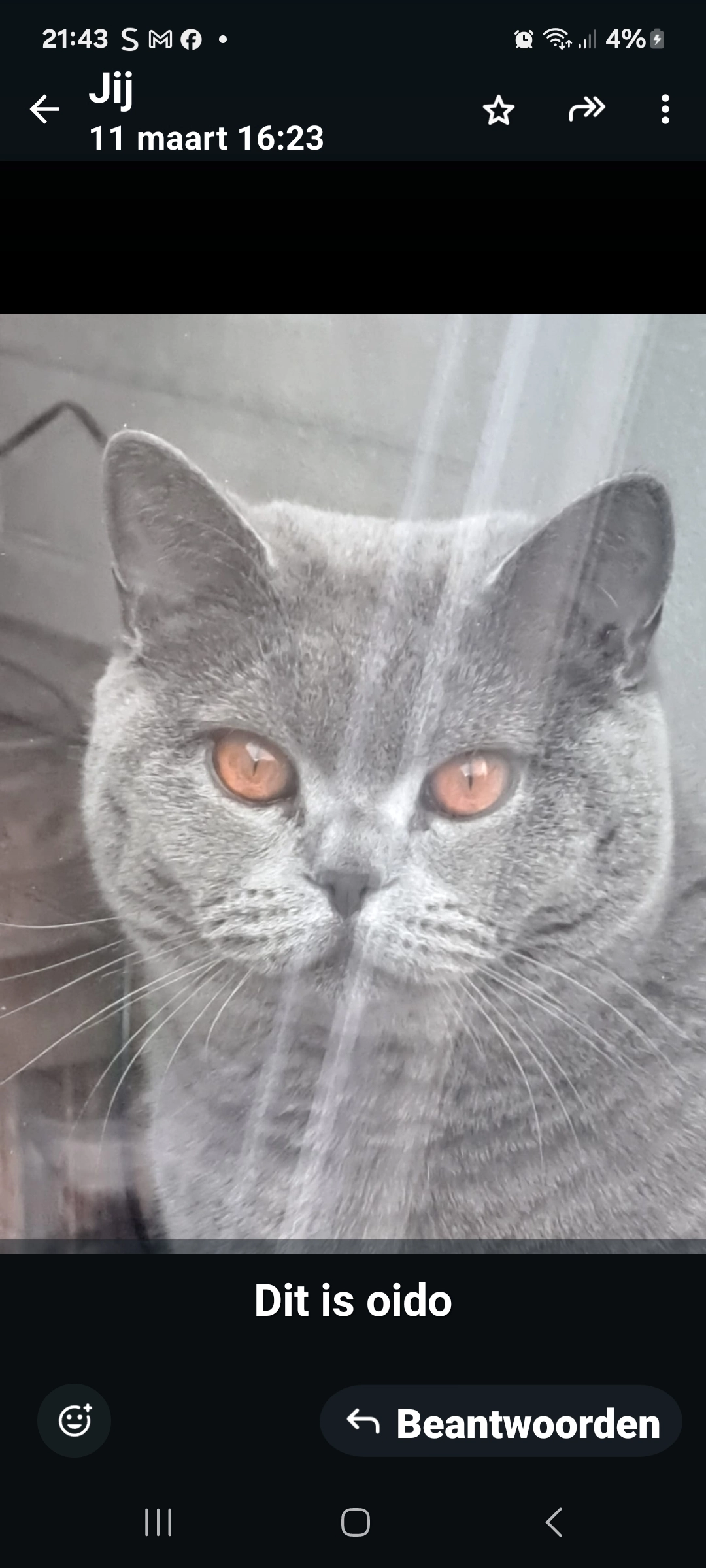 Oido - Fr. Nanningstraat, Musselkanaal