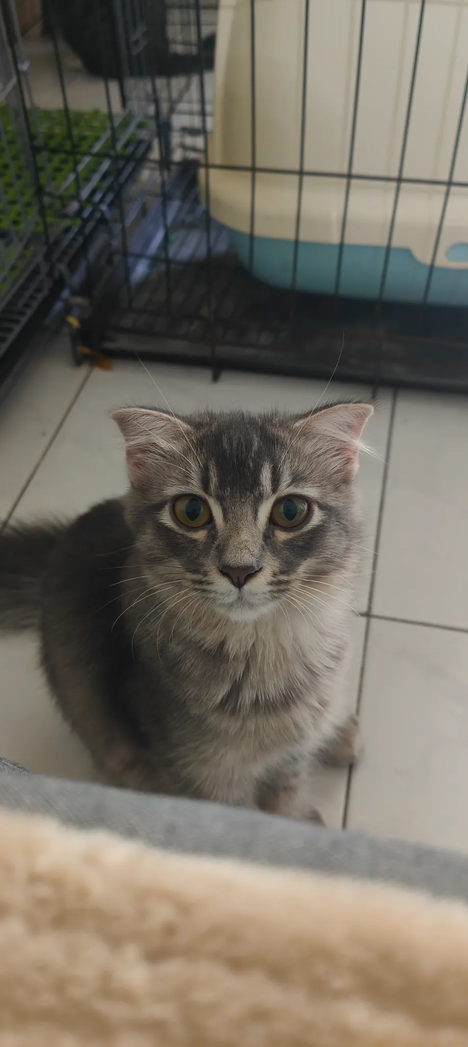 Timun - Jalan 112H, Kuala Lumpur