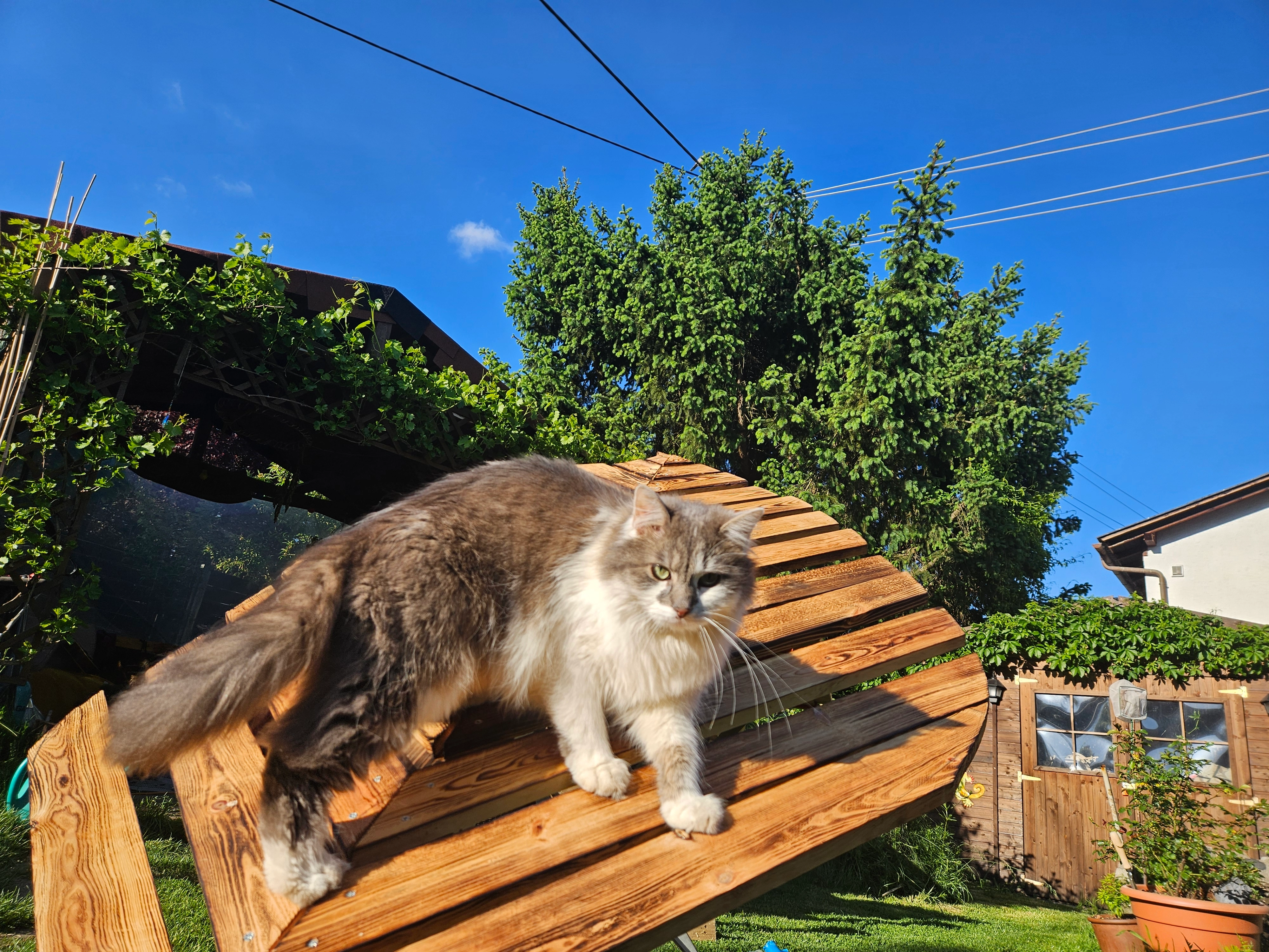 Mogli - Moorweg, Klagenfurt am Wörthersee