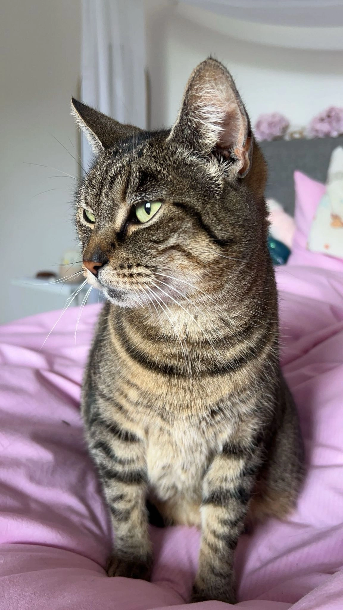 Mia - Asternweg, Herne