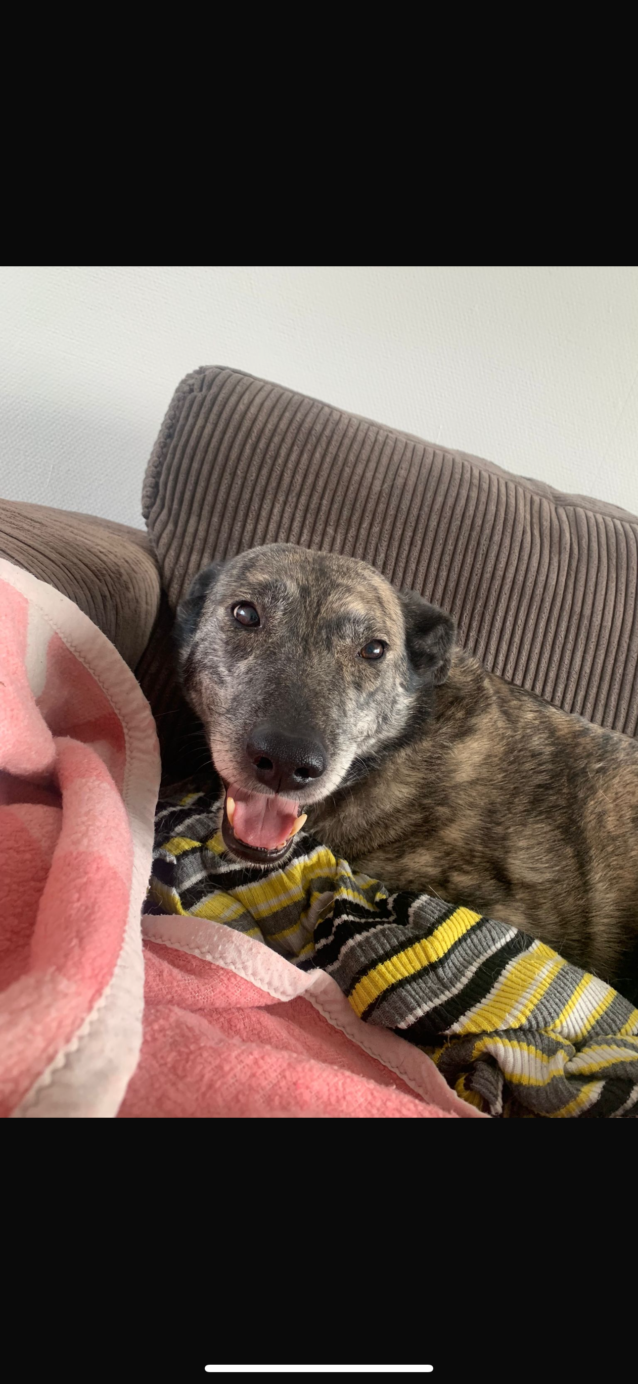 Kayla - Berthradisstraat, Kerkrade