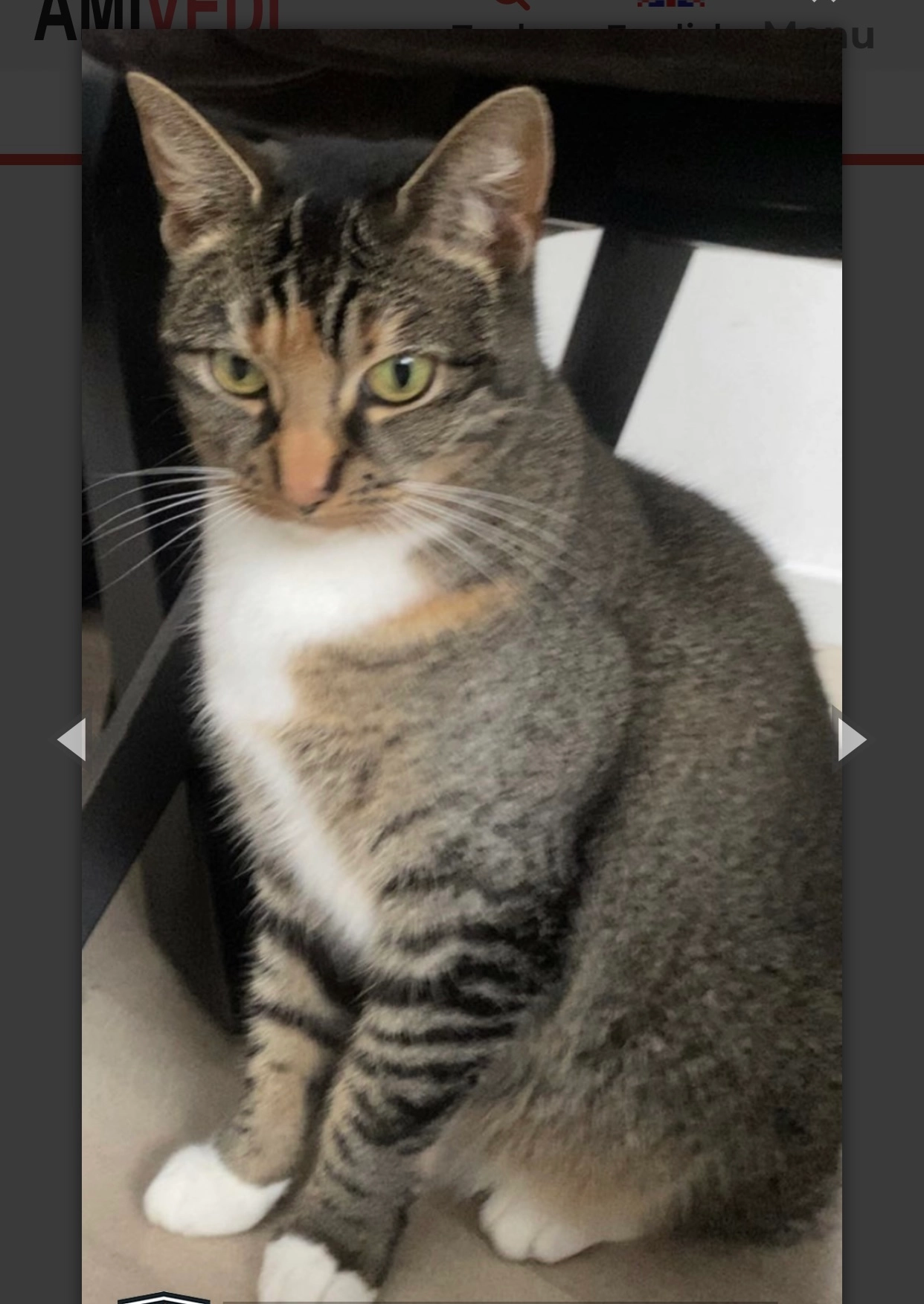 Shiva  - Alexander de Grotelaan, Utrecht