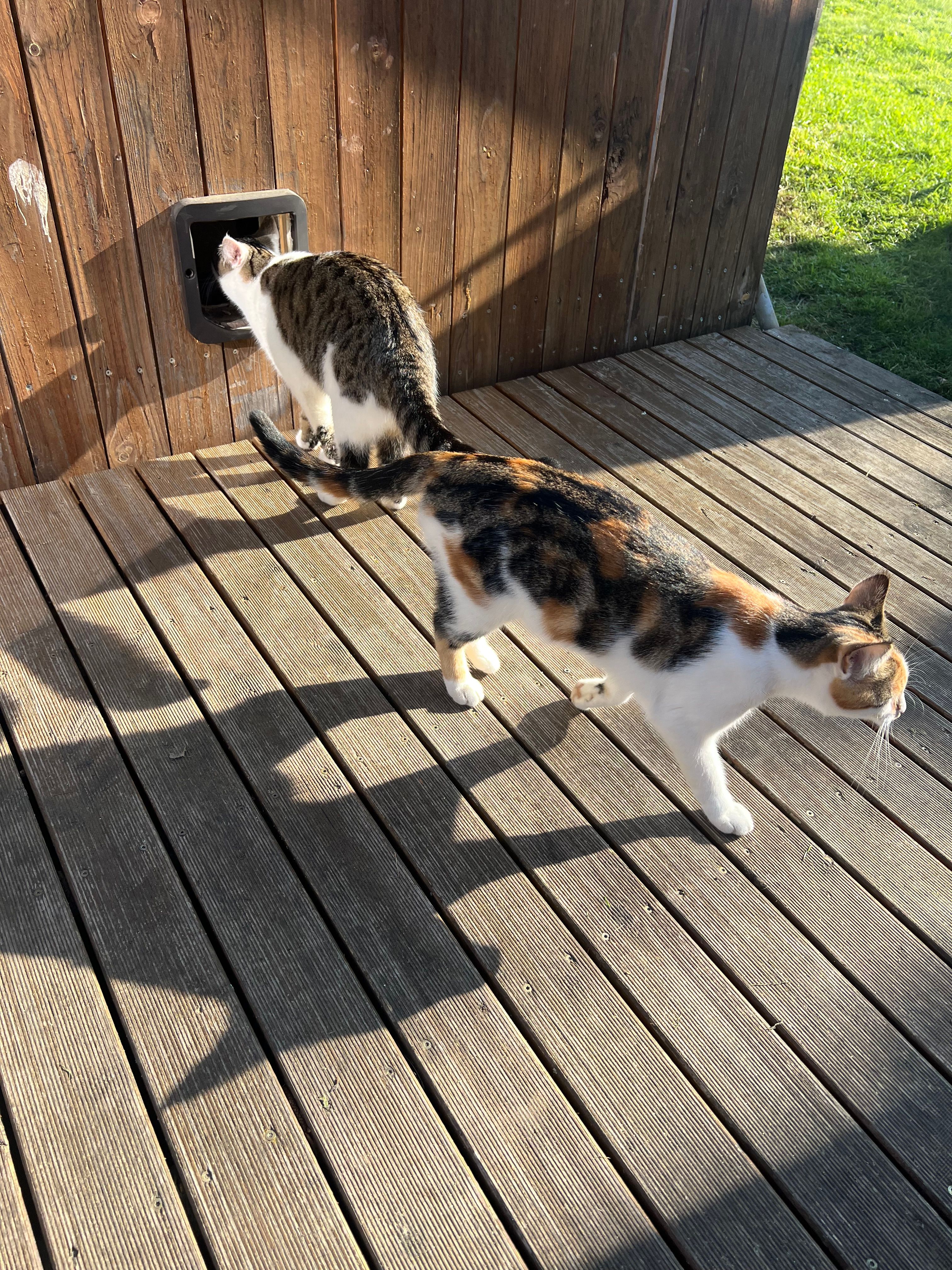 Sunny - Wiesenstraße, Reichenbach